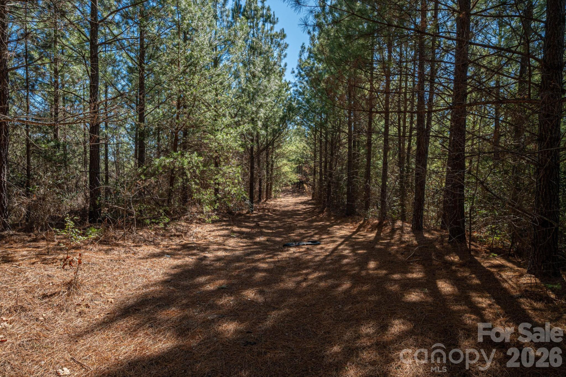 6235 Hwy 18 None - Photo 14