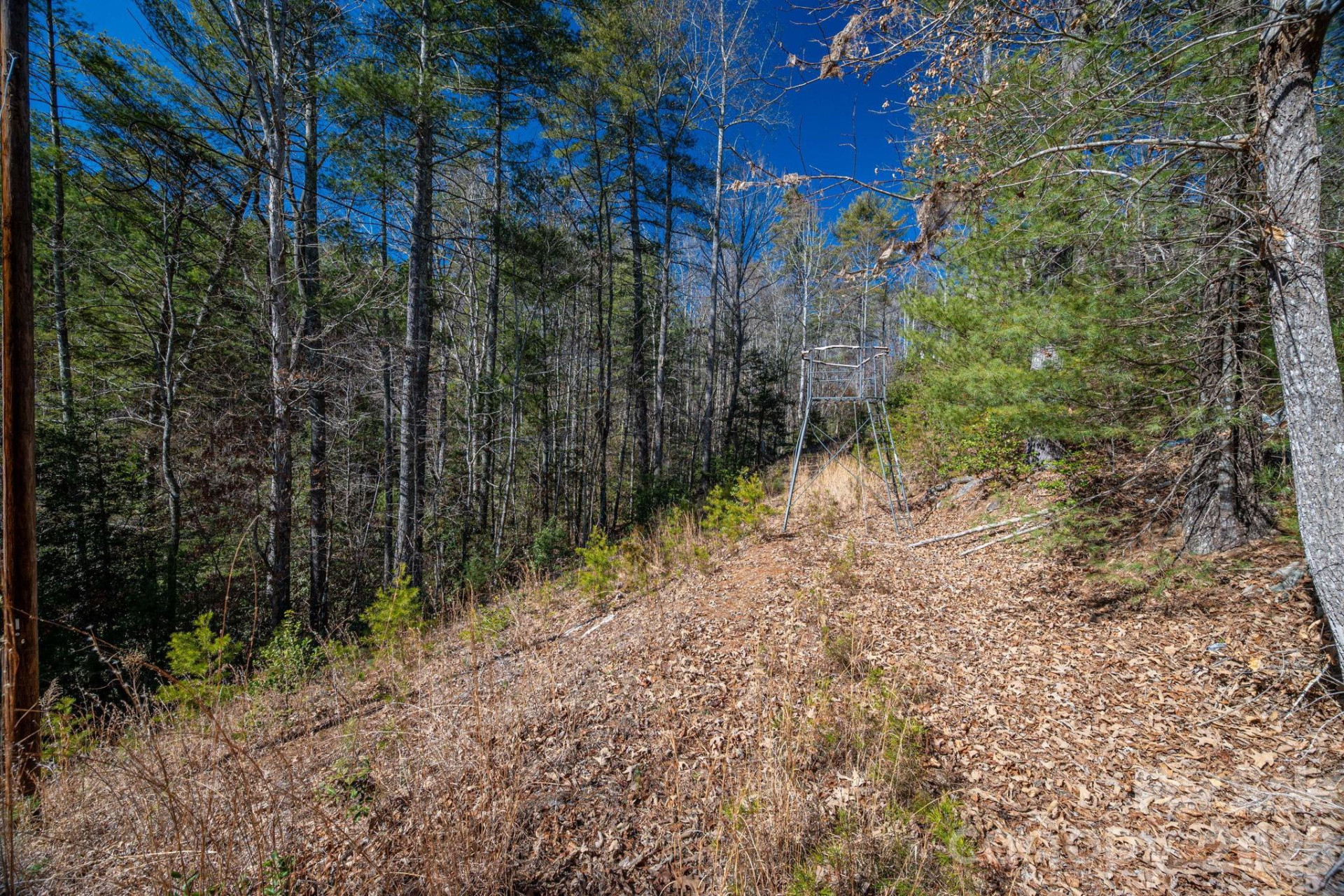 6235 Hwy 18 None - Photo 15