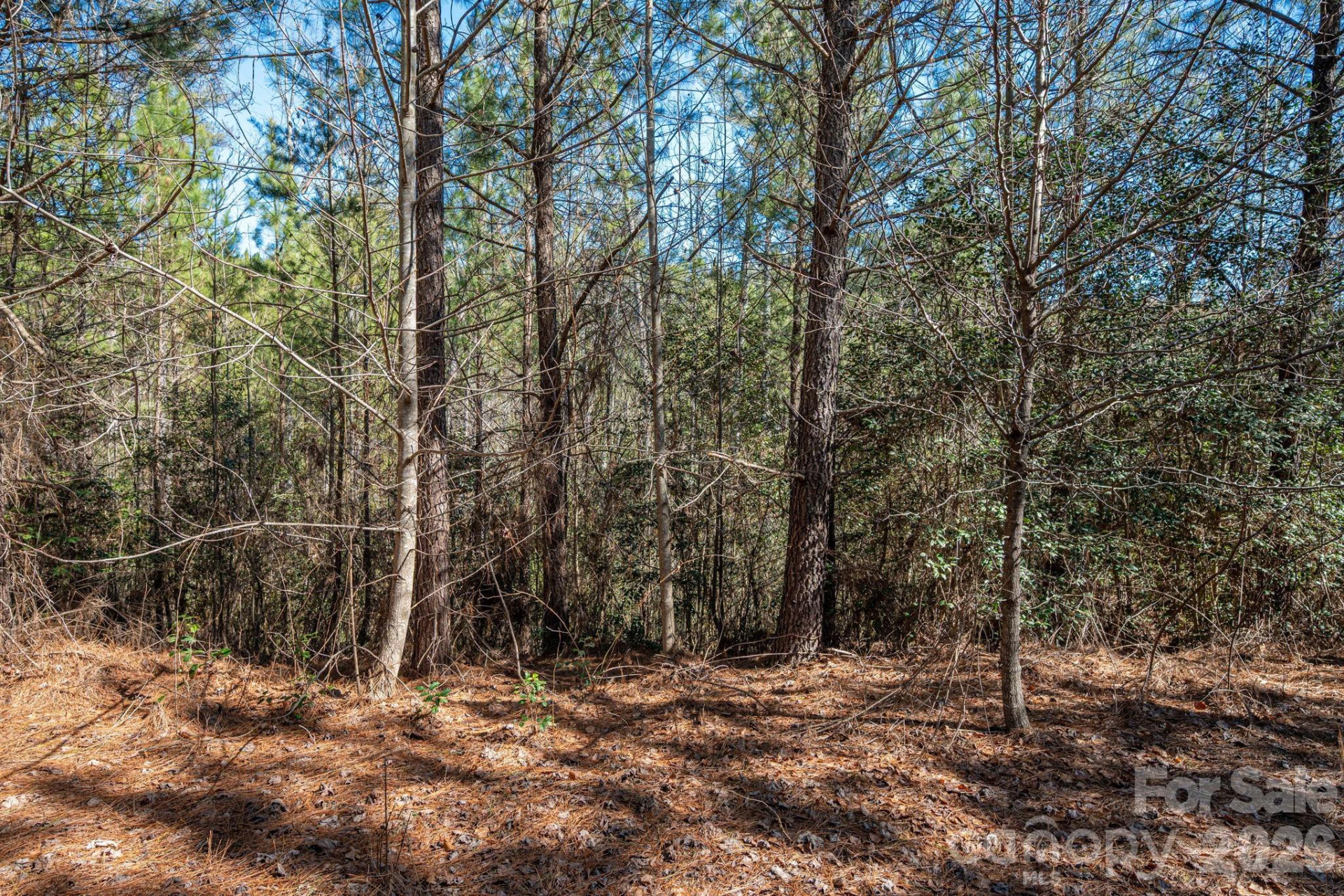 6235 Hwy 18 None - Photo 16