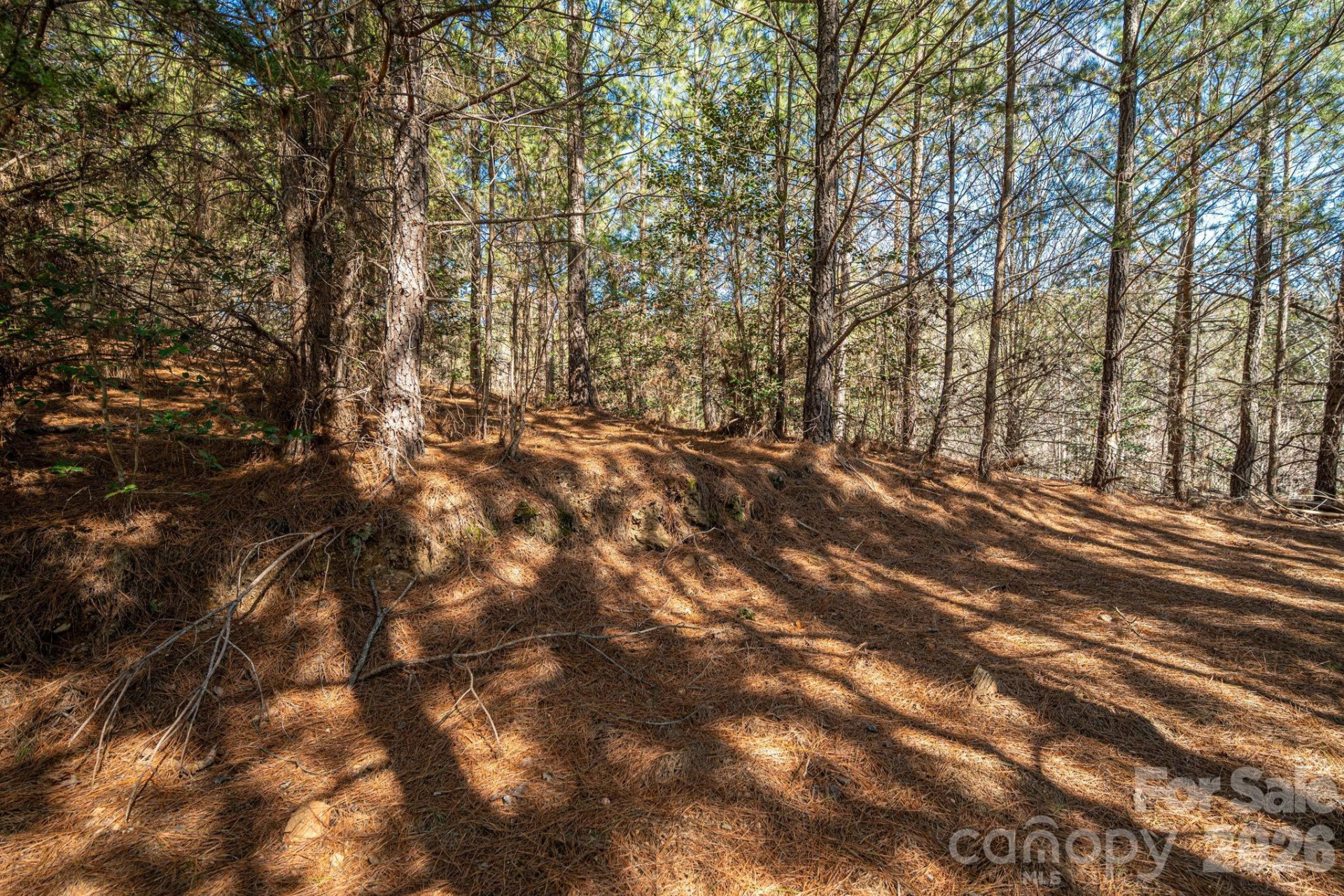 6235 Hwy 18 None - Photo 17