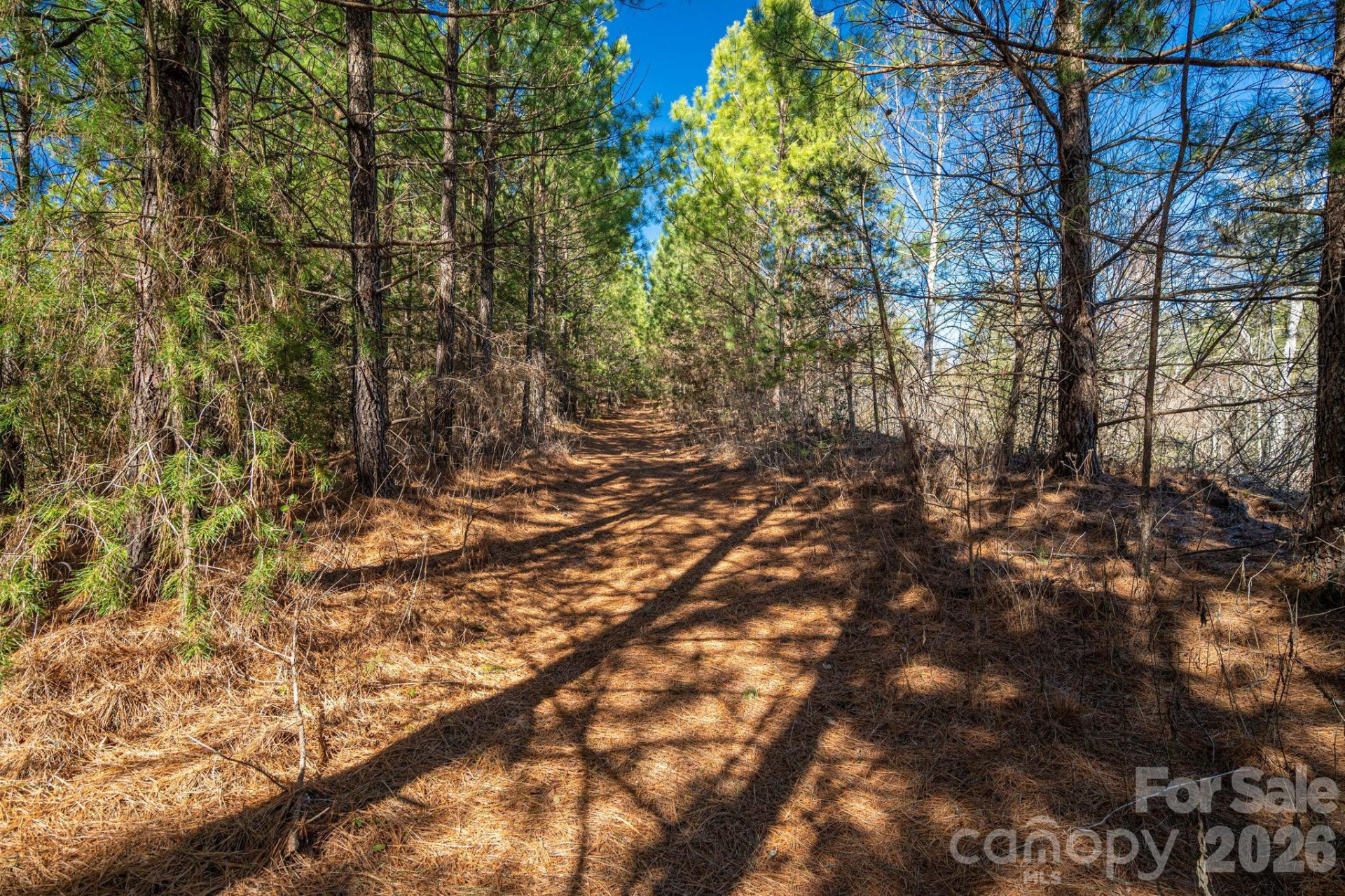 6235 Hwy 18 None - Photo 18