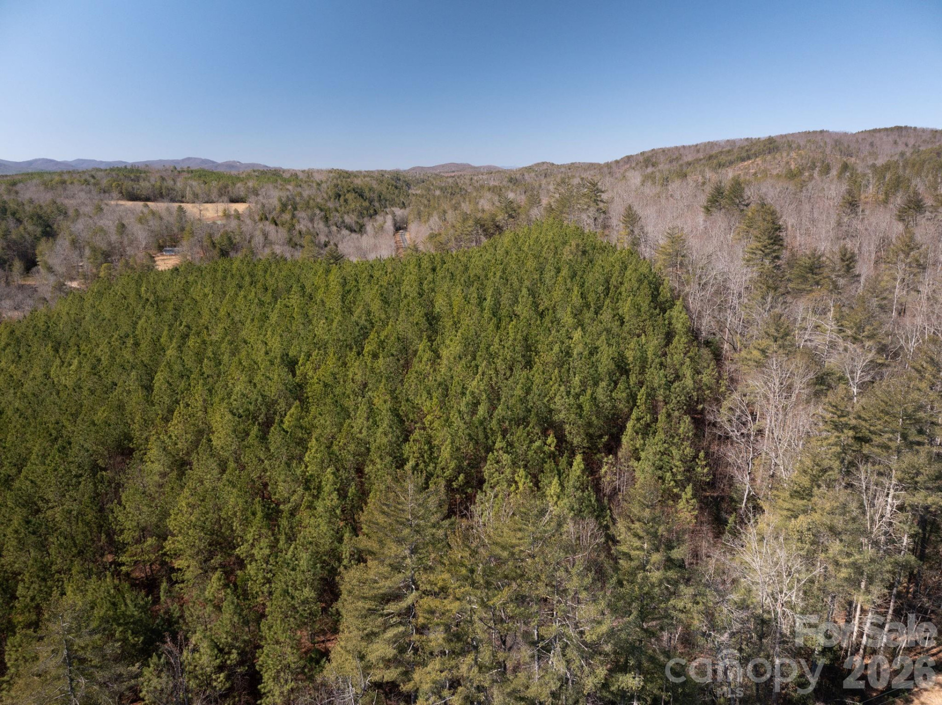 6235 Hwy 18 None - Photo 20