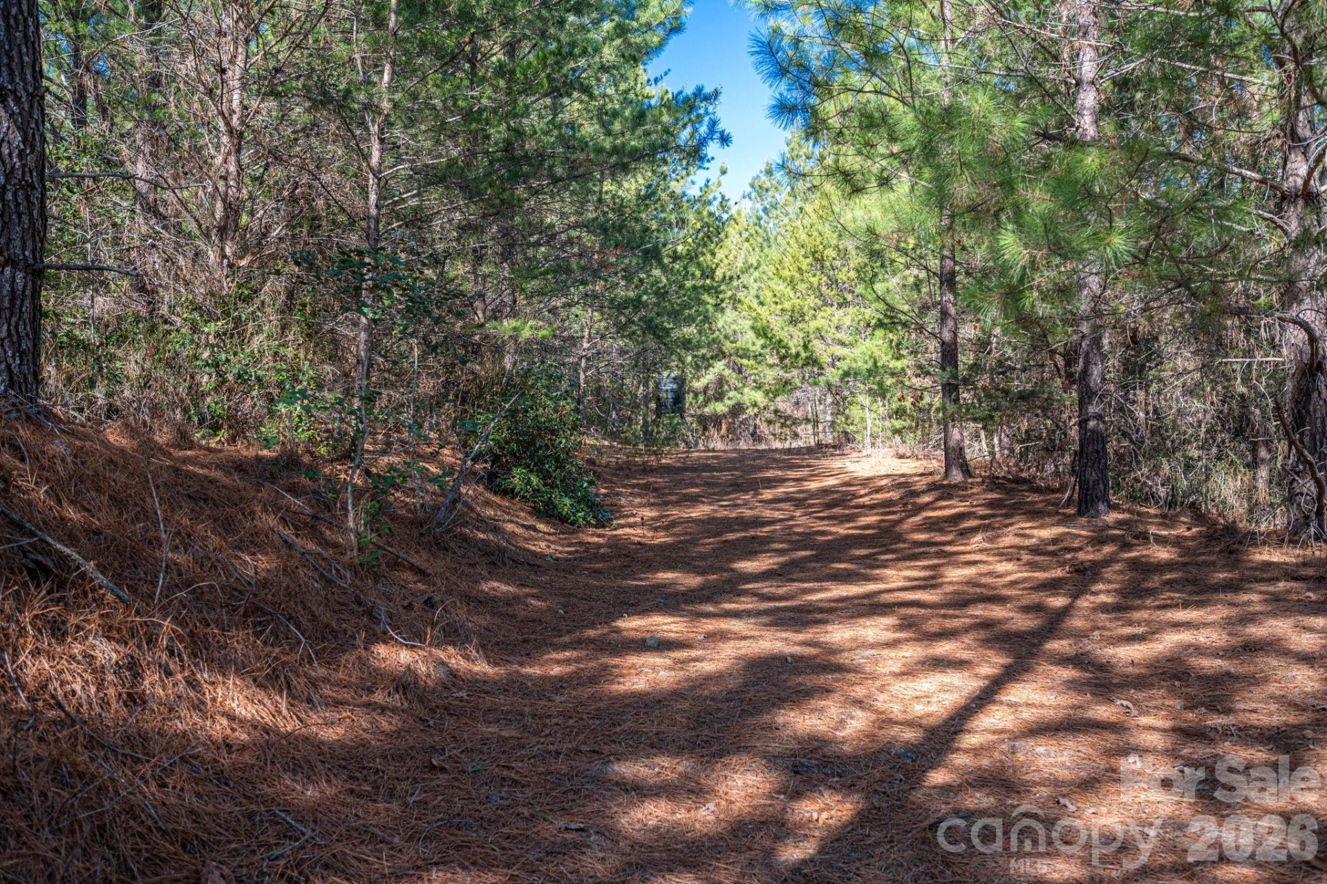 6235 Hwy 18 None - Photo 8