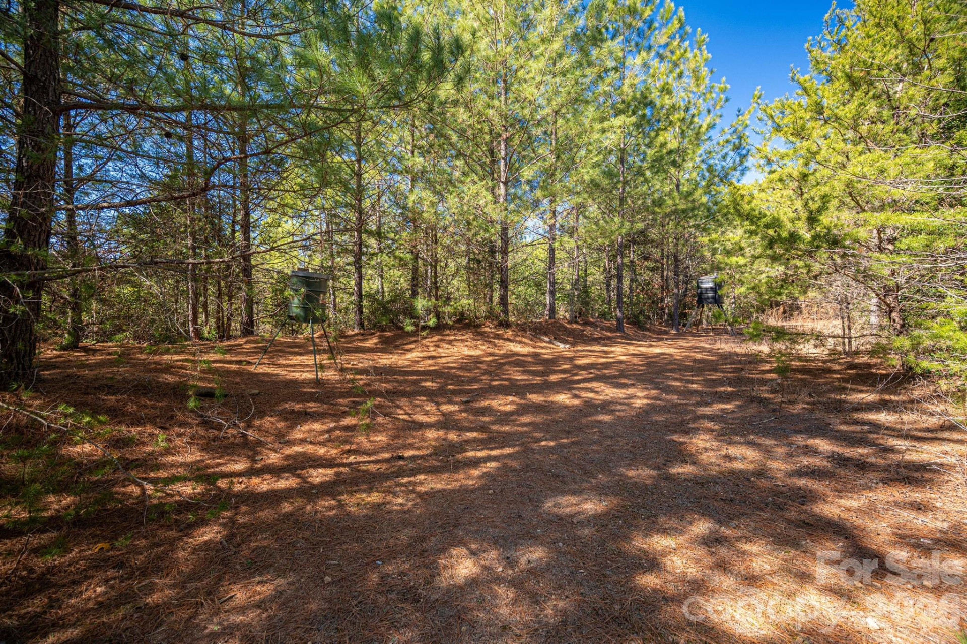 6235 Hwy 18 None - Photo 9