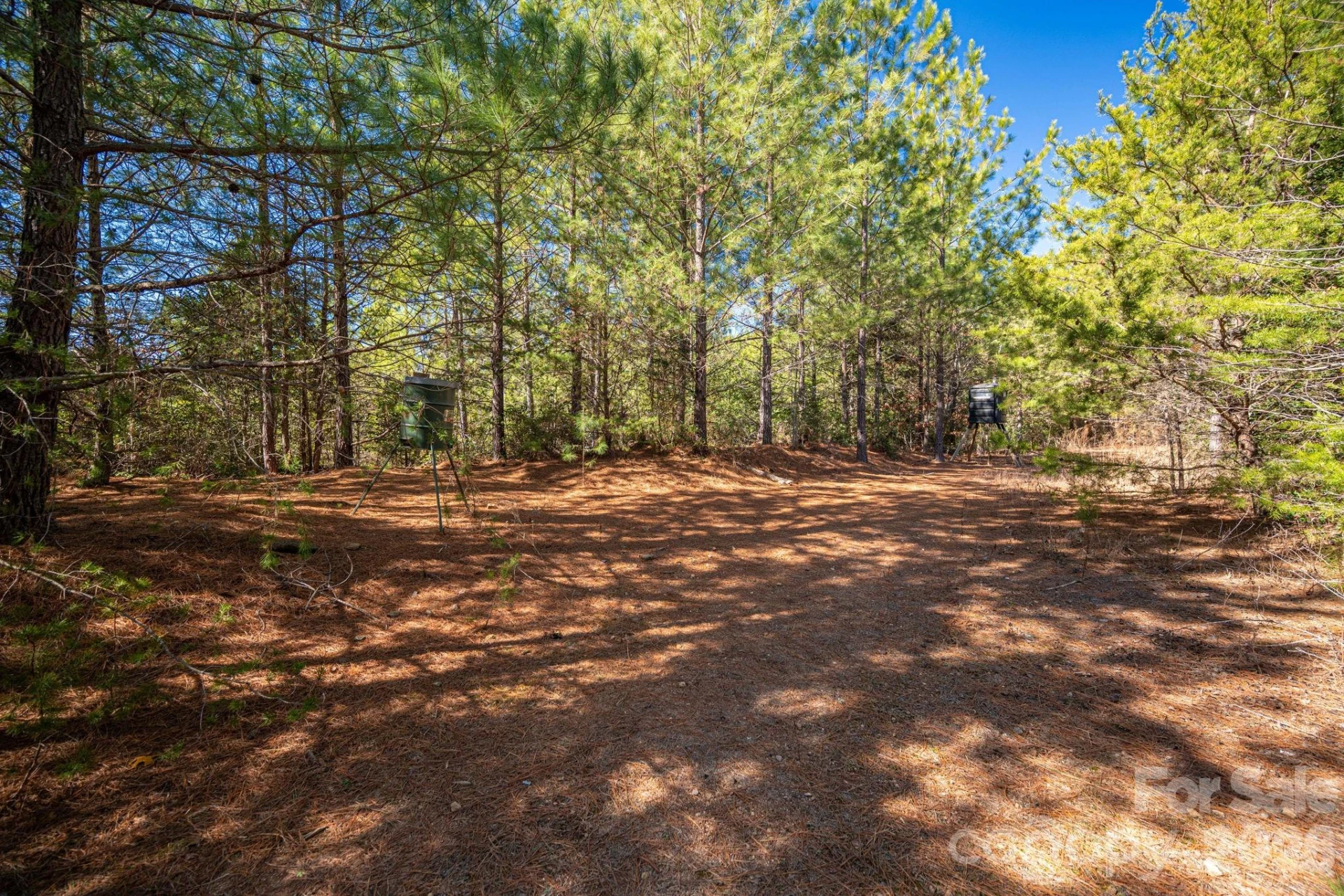 6235 Hwy 18 None - Photo 9