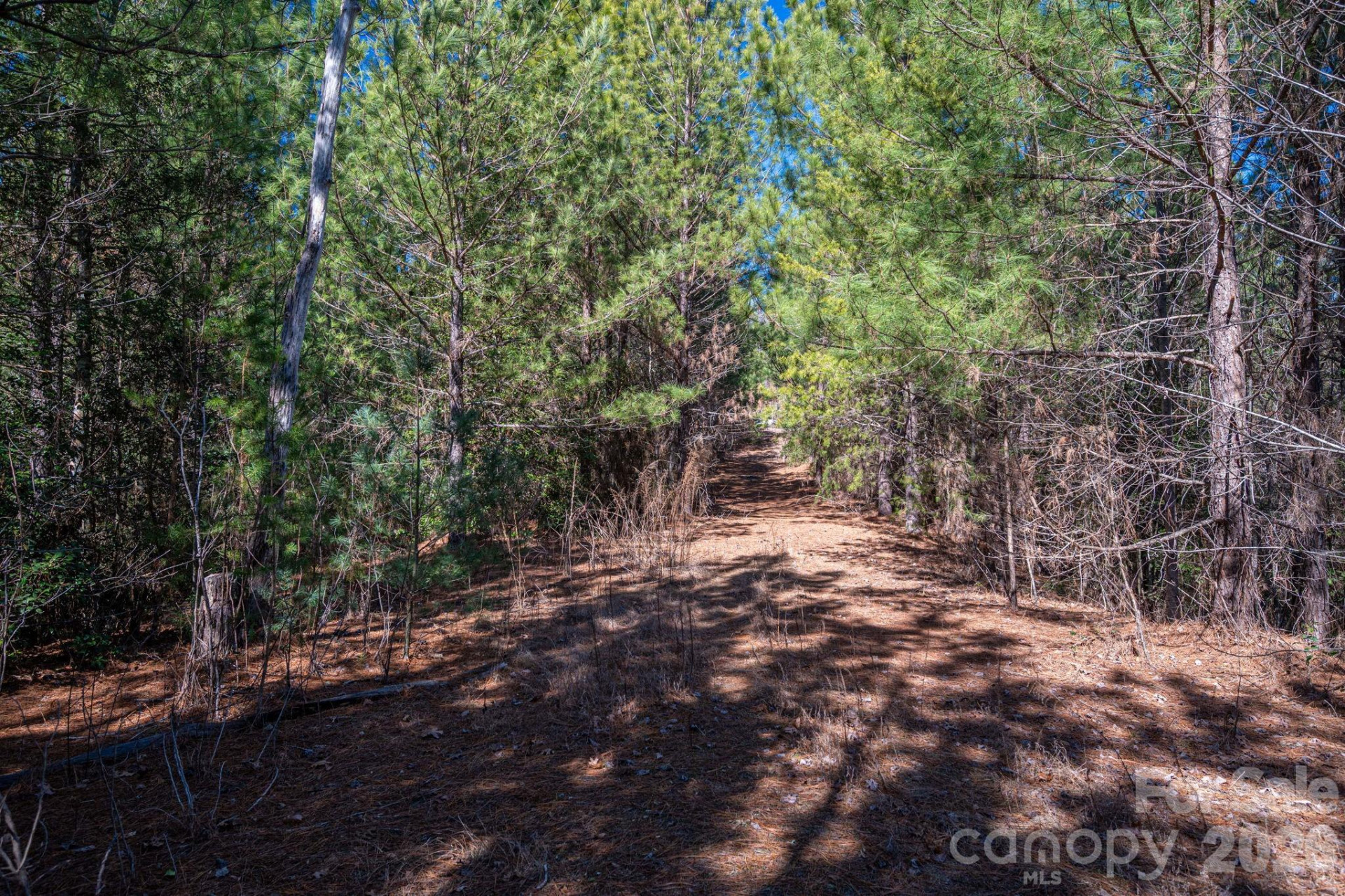 6235 Hwy 18 None - Photo 10