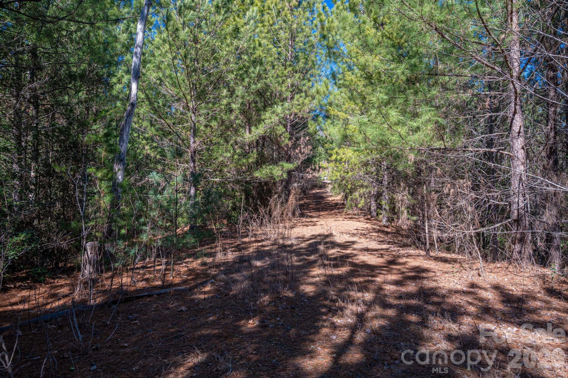 6235 Hwy 18 None - Photo 10