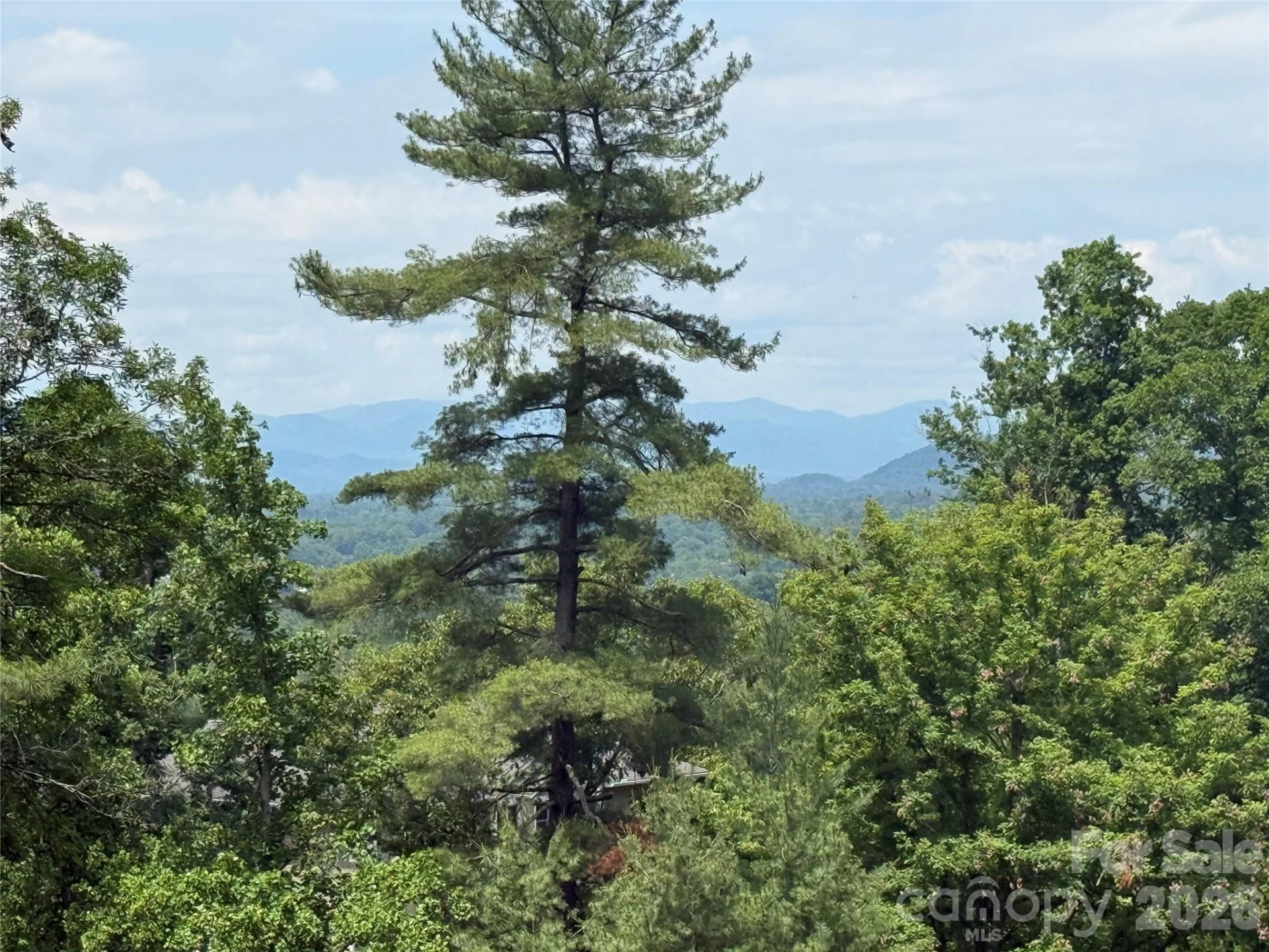 44 Leisure Mountain Road - Photo 3
