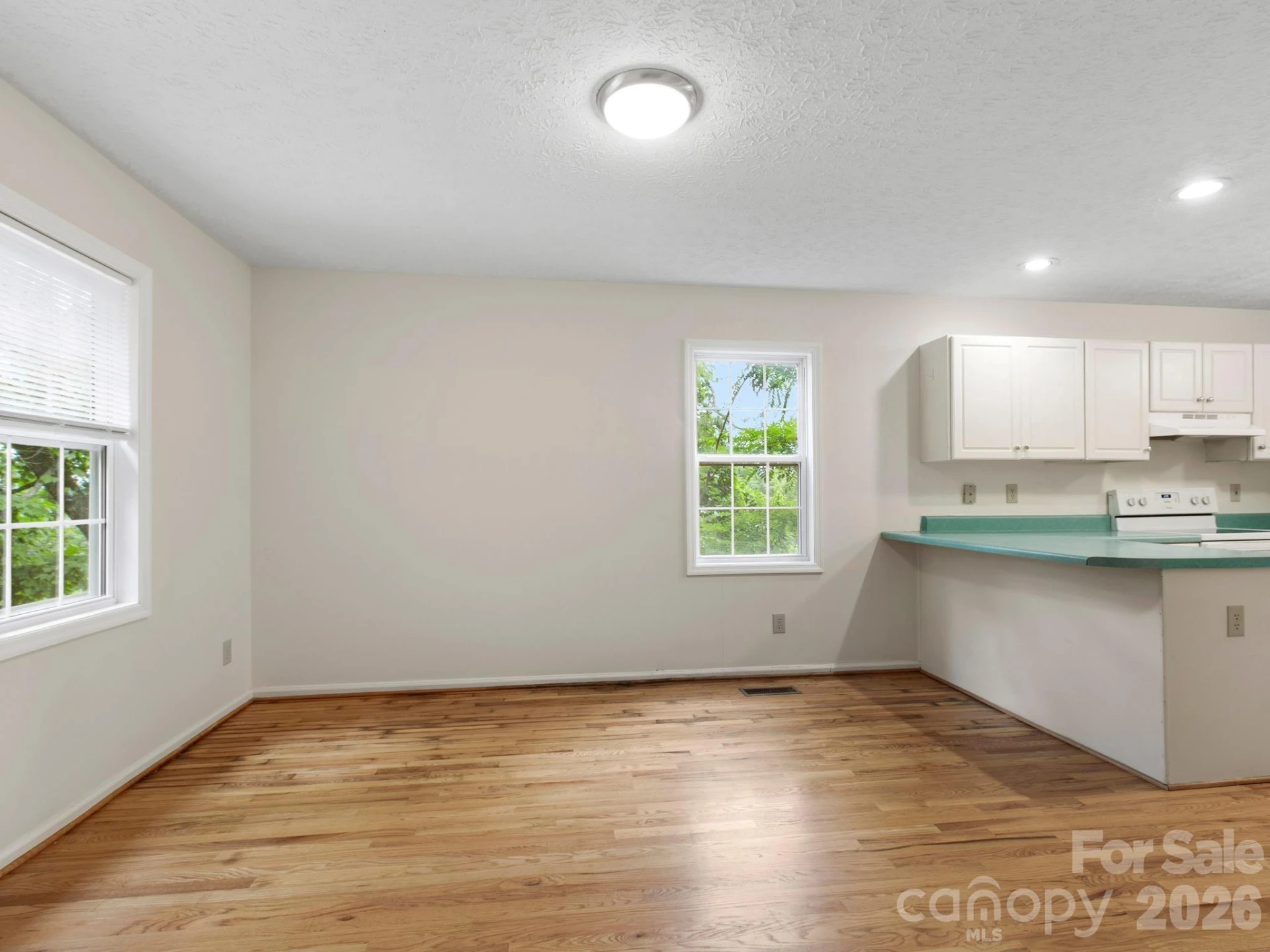 44 Leisure Mountain Road - Photo 10