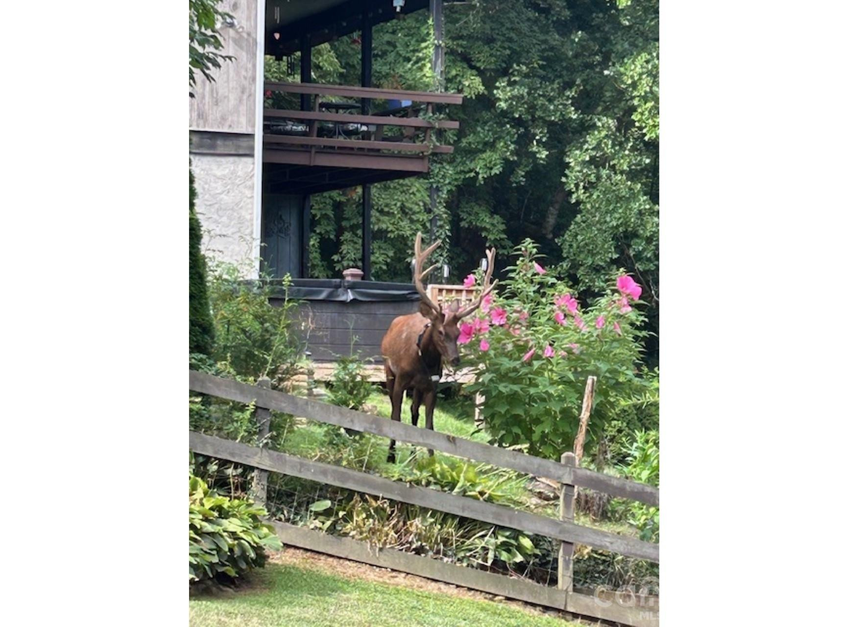 102 Sanctuary Road #B - Photo 32