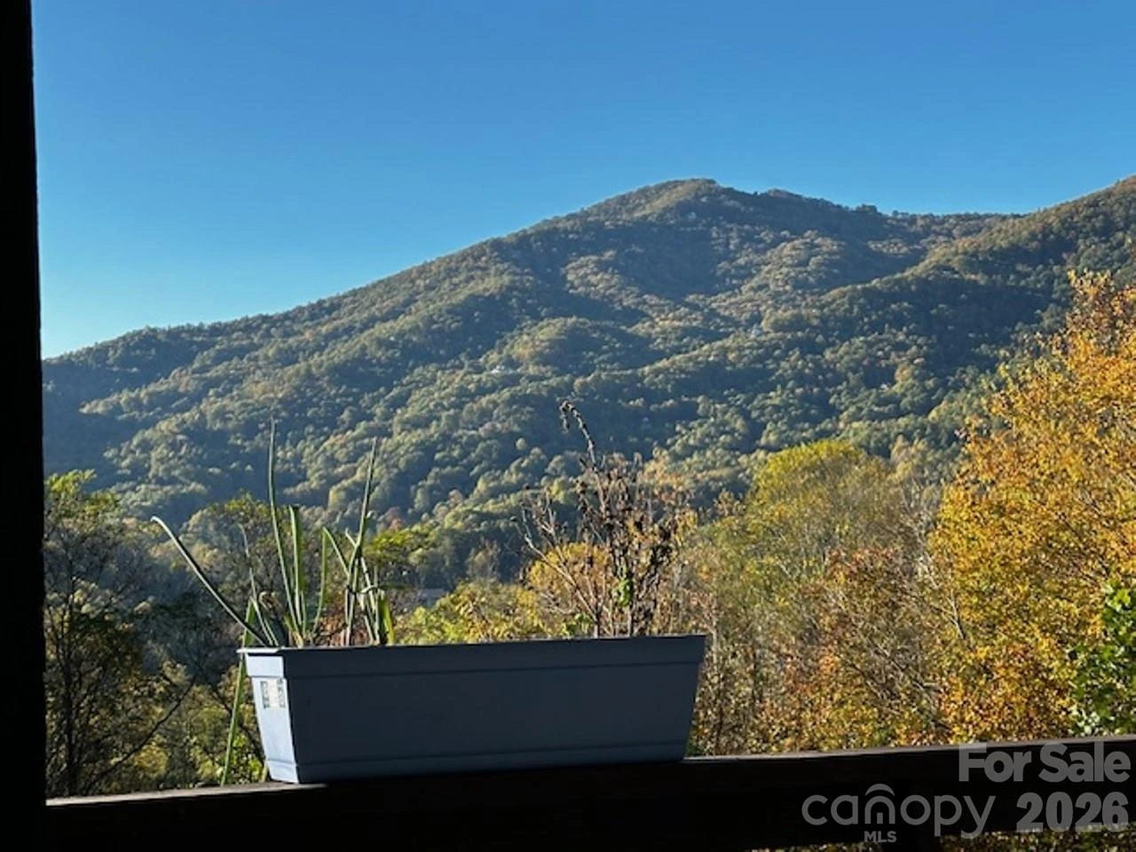 102 Sanctuary Road #B - Photo 36
