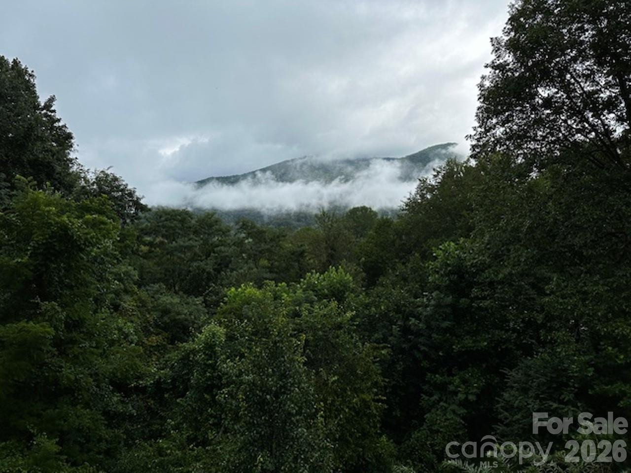 102 Sanctuary Road #B - Photo 46