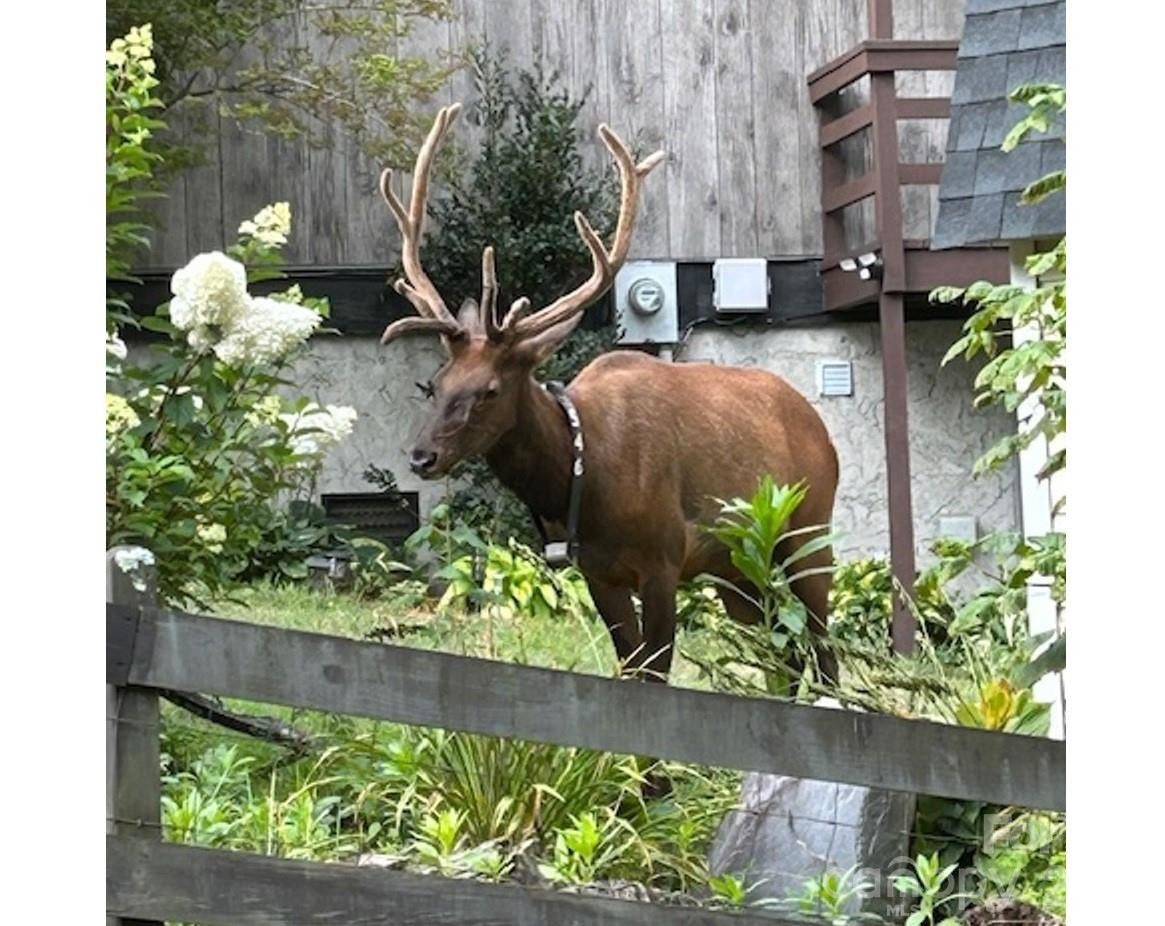 102 Sanctuary Road #B - Photo 7