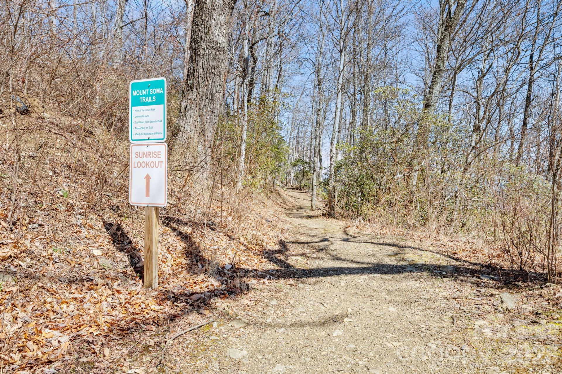 5 Lila Lane #B - Photo 37