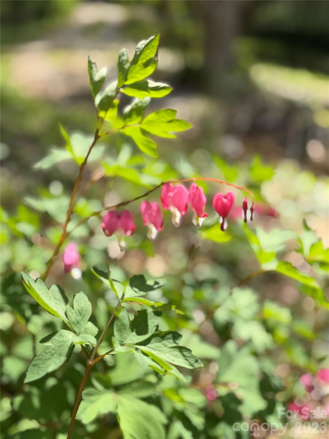 316 Oakdale Drive - Photo 35