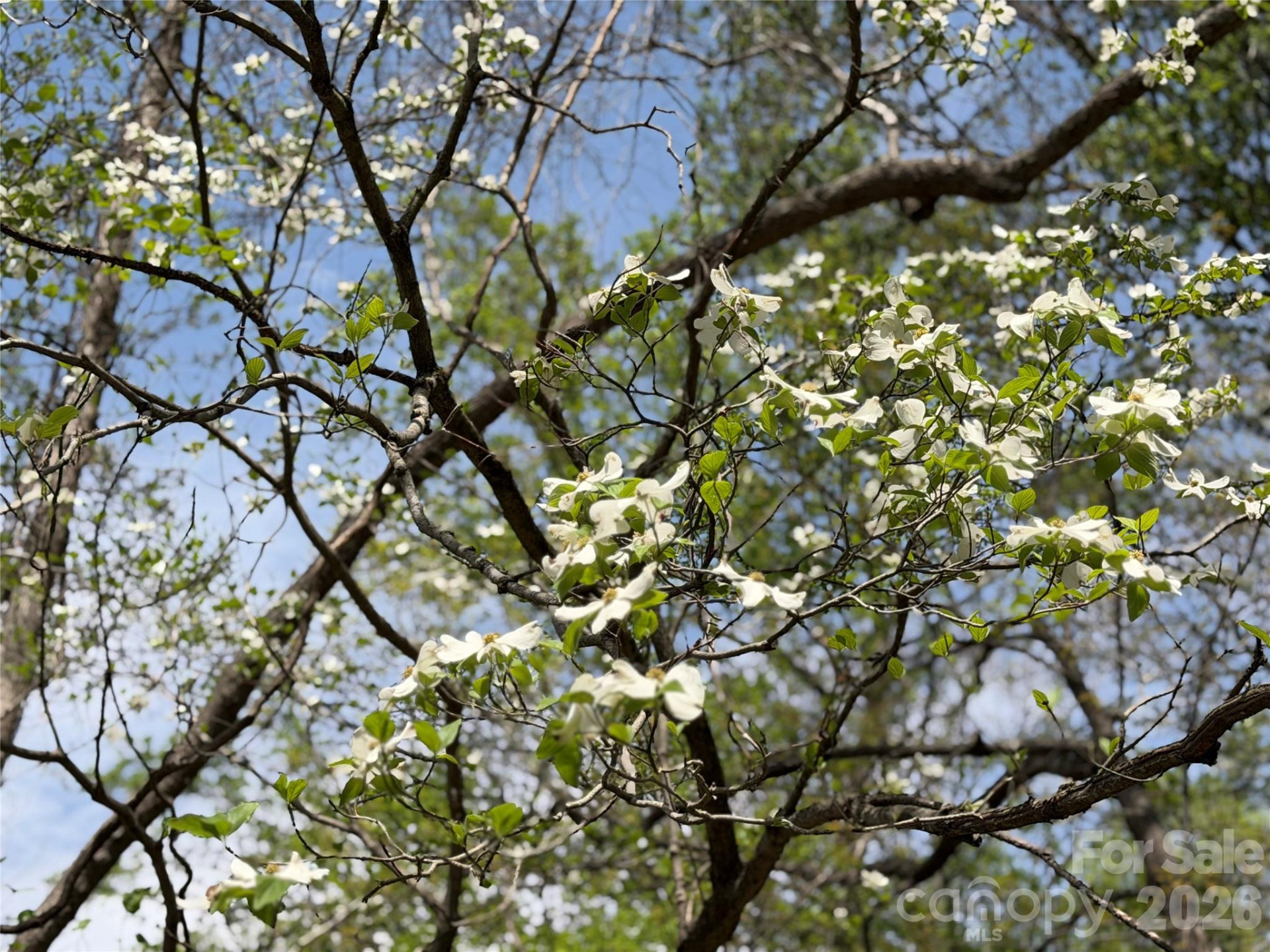 316 Oakdale Drive - Photo 38