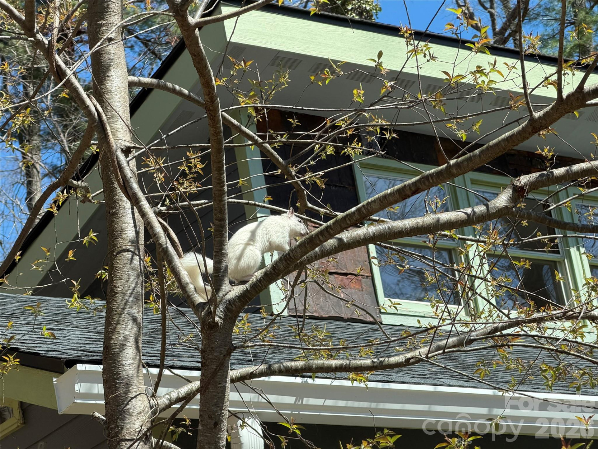 316 Oakdale Drive - Photo 39