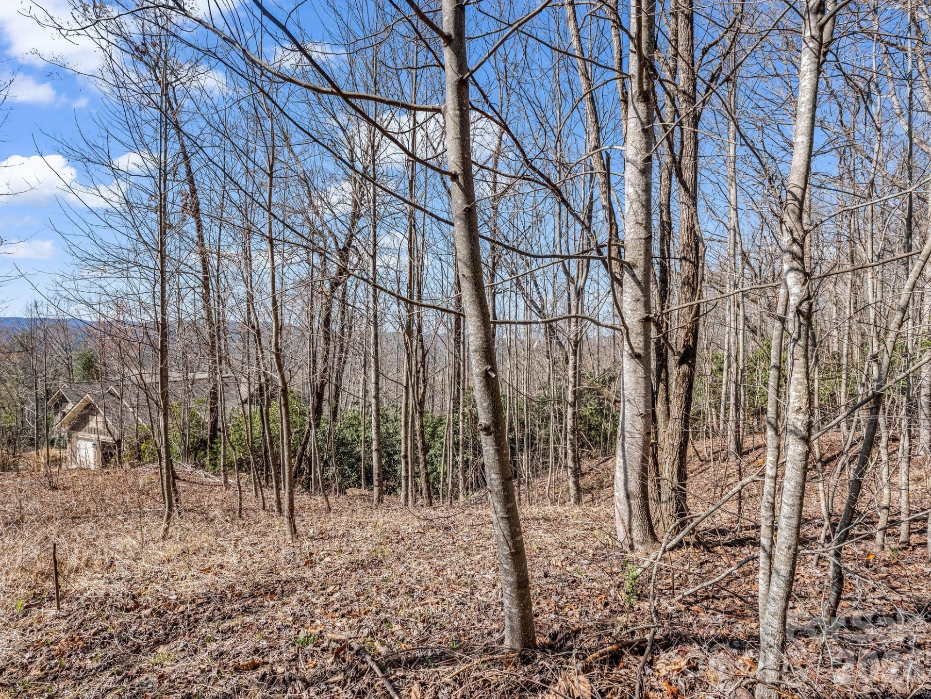 142 Mountain Elder Lane #79 - Photo 2