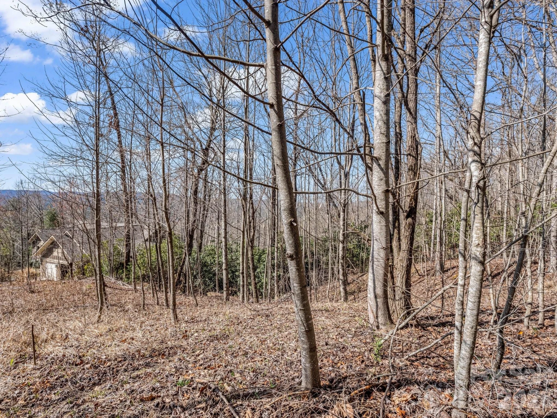 142 Mountain Elder Lane #79 - Photo 2