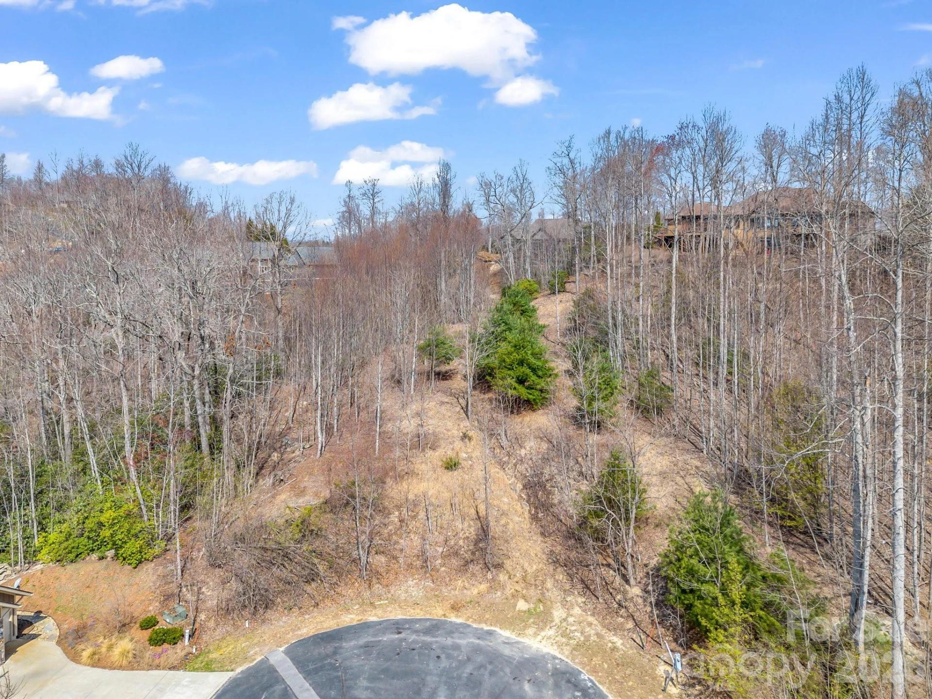 142 Mountain Elder Lane #79 - Photo 11