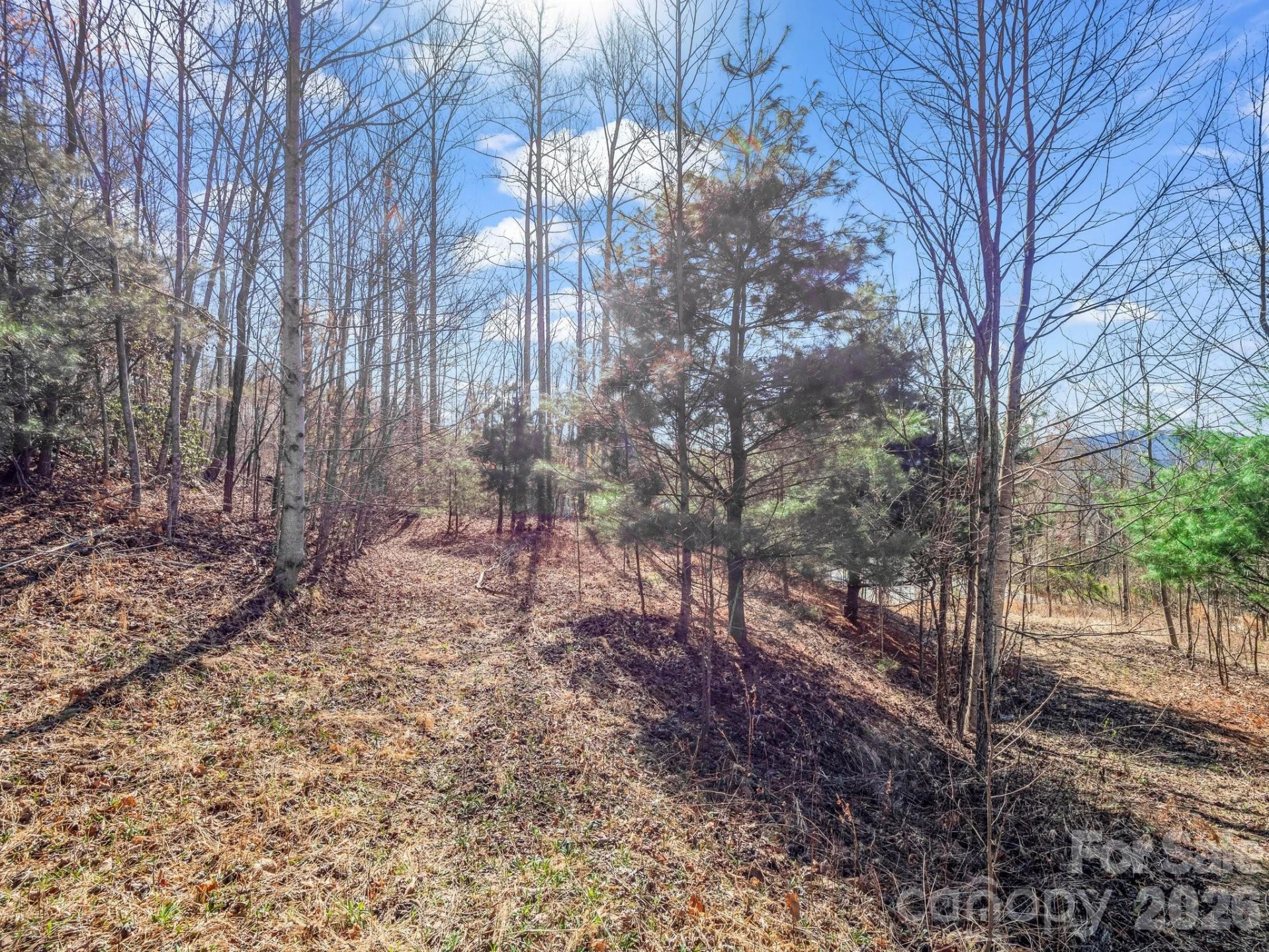 142 Mountain Elder Lane #79 - Photo 3