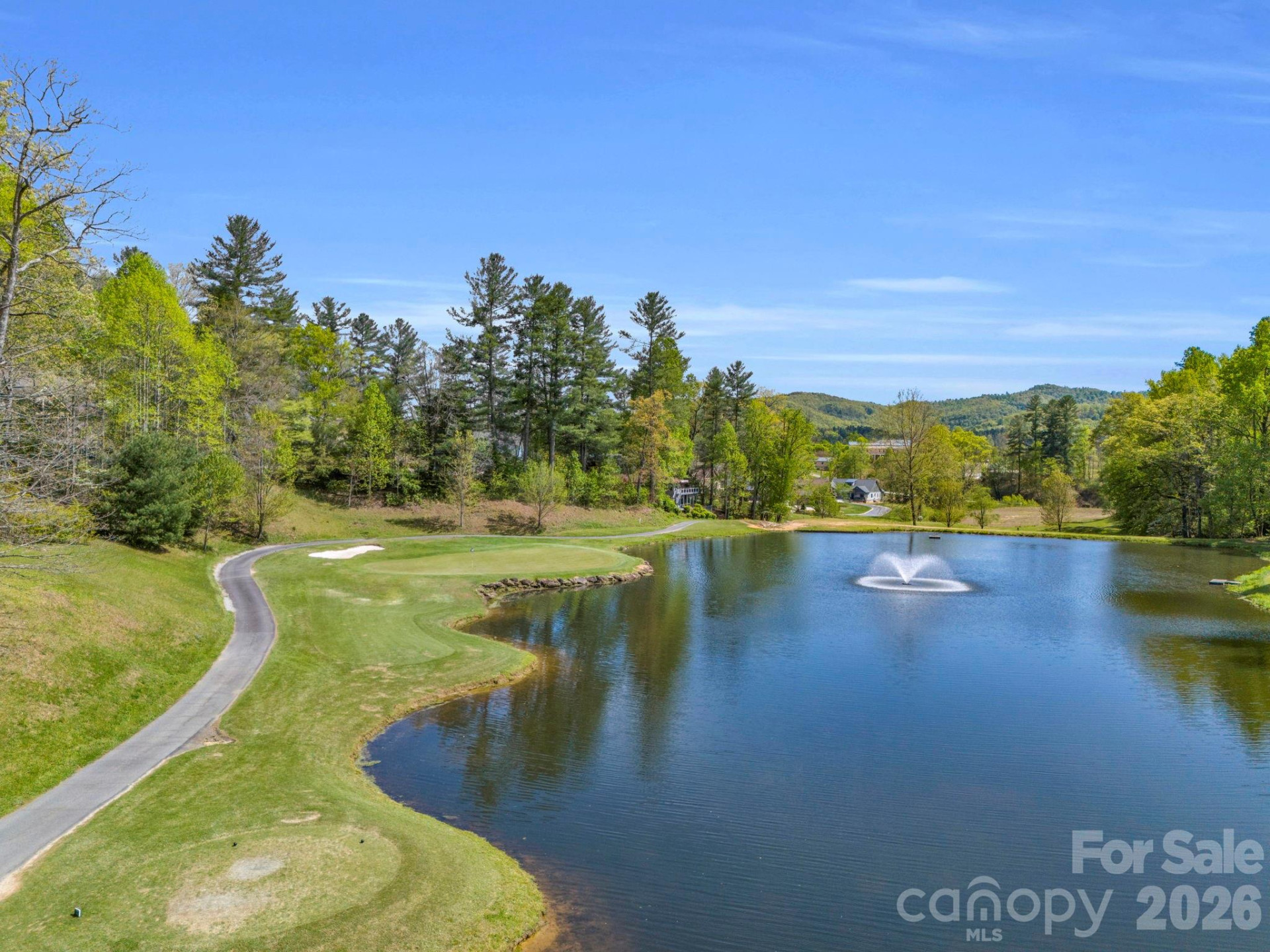 142 Mountain Elder Lane #79 - Photo 24