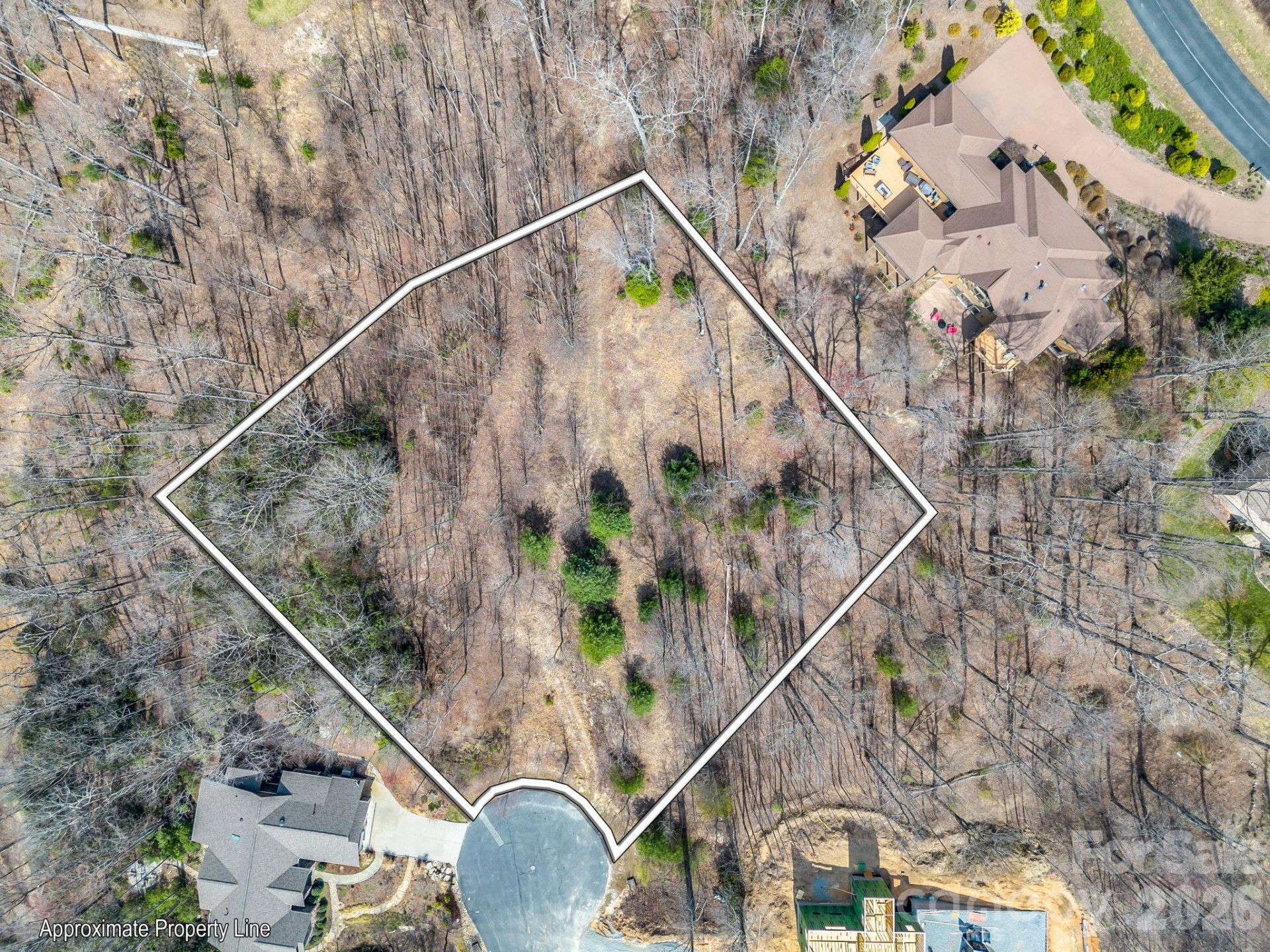 142 Mountain Elder Lane #79 - Photo 4