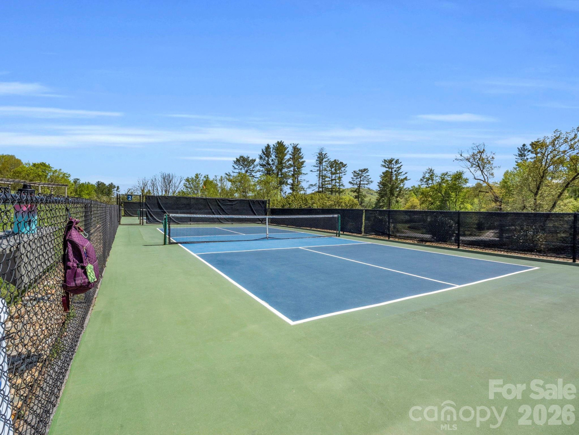 142 Mountain Elder Lane #79 - Photo 32