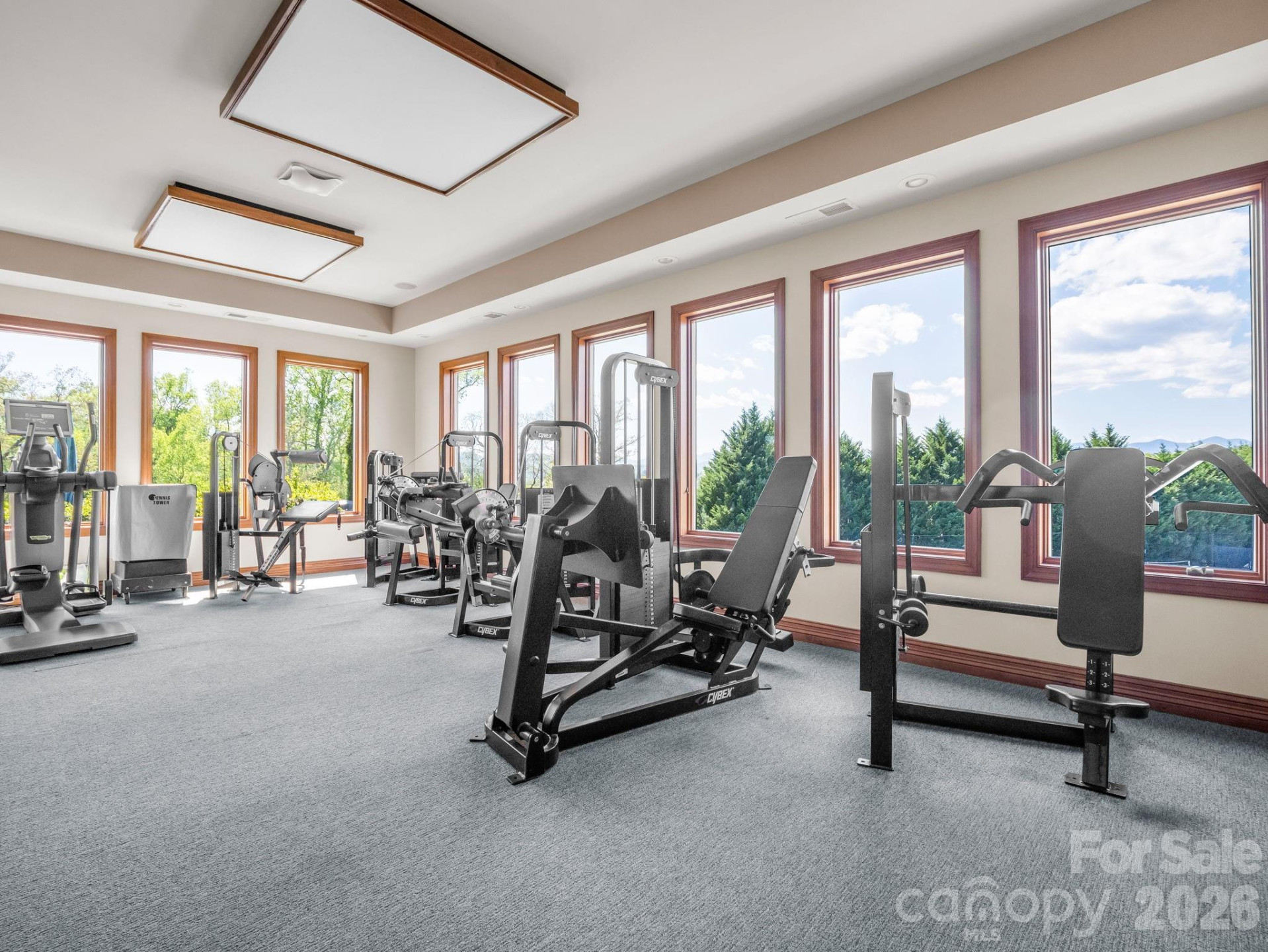 142 Mountain Elder Lane #79 - Photo 35