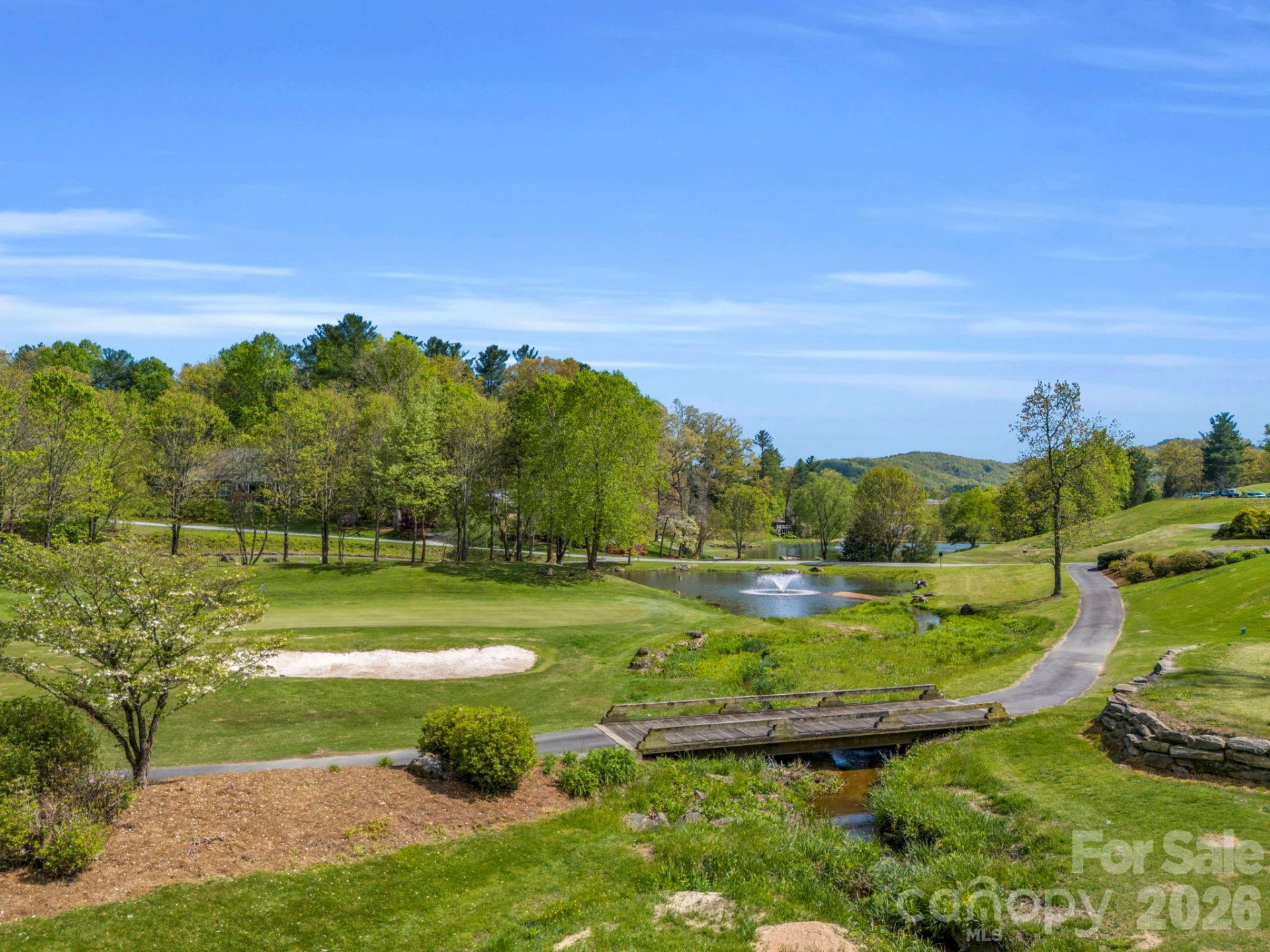 142 Mountain Elder Lane #79 - Photo 36