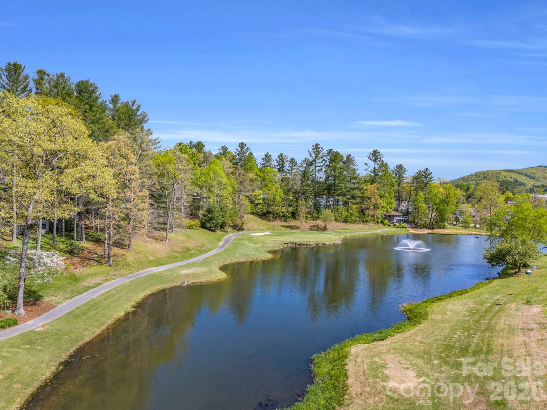 142 Mountain Elder Lane #79 - Photo 40