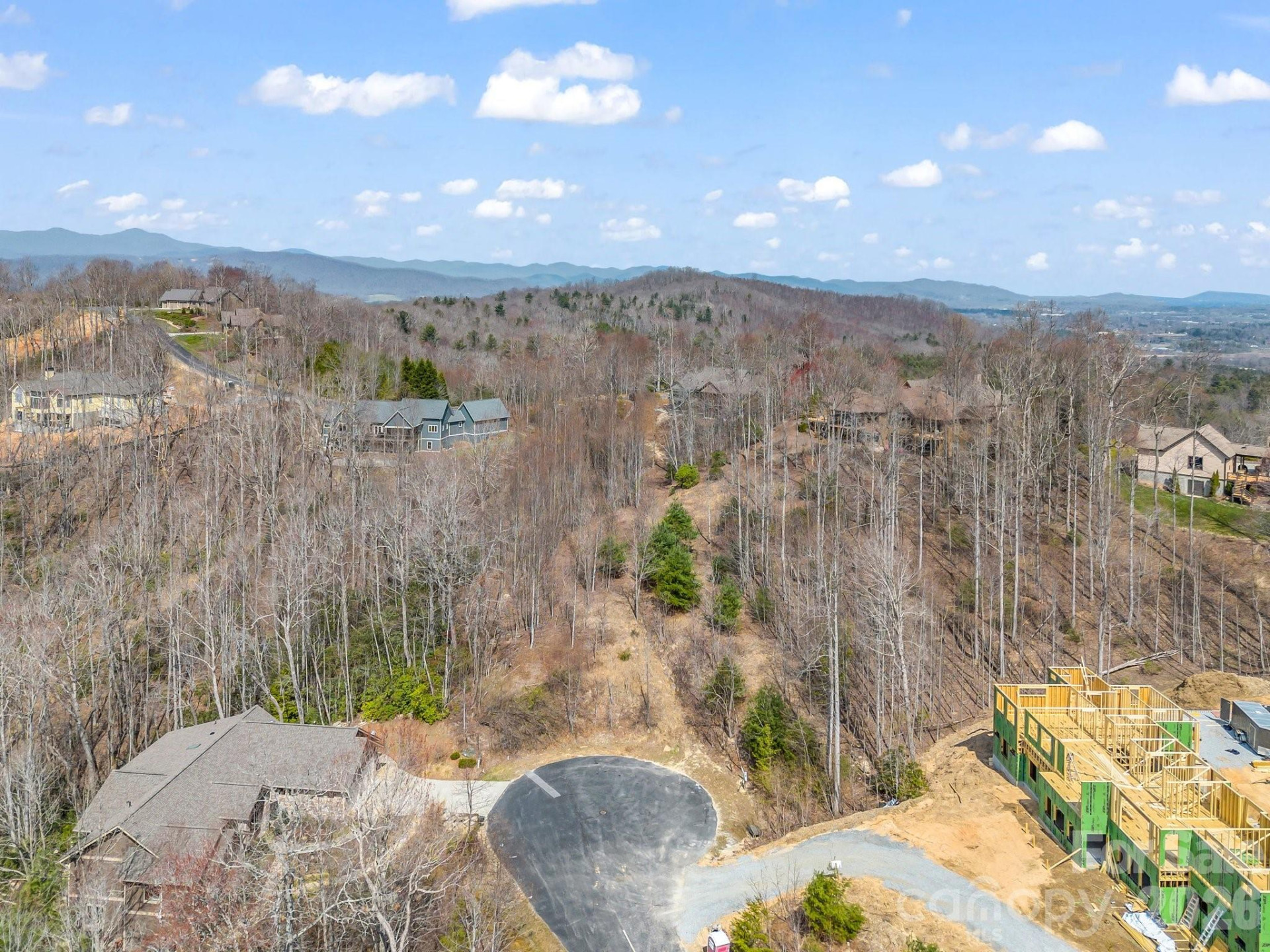 142 Mountain Elder Lane #79 - Photo 5