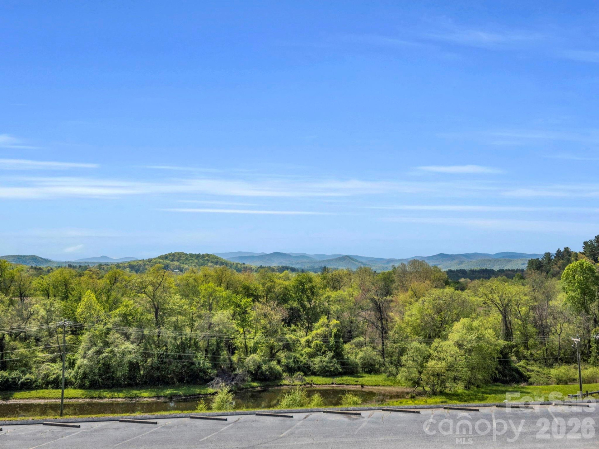 142 Mountain Elder Lane #79 - Photo 41