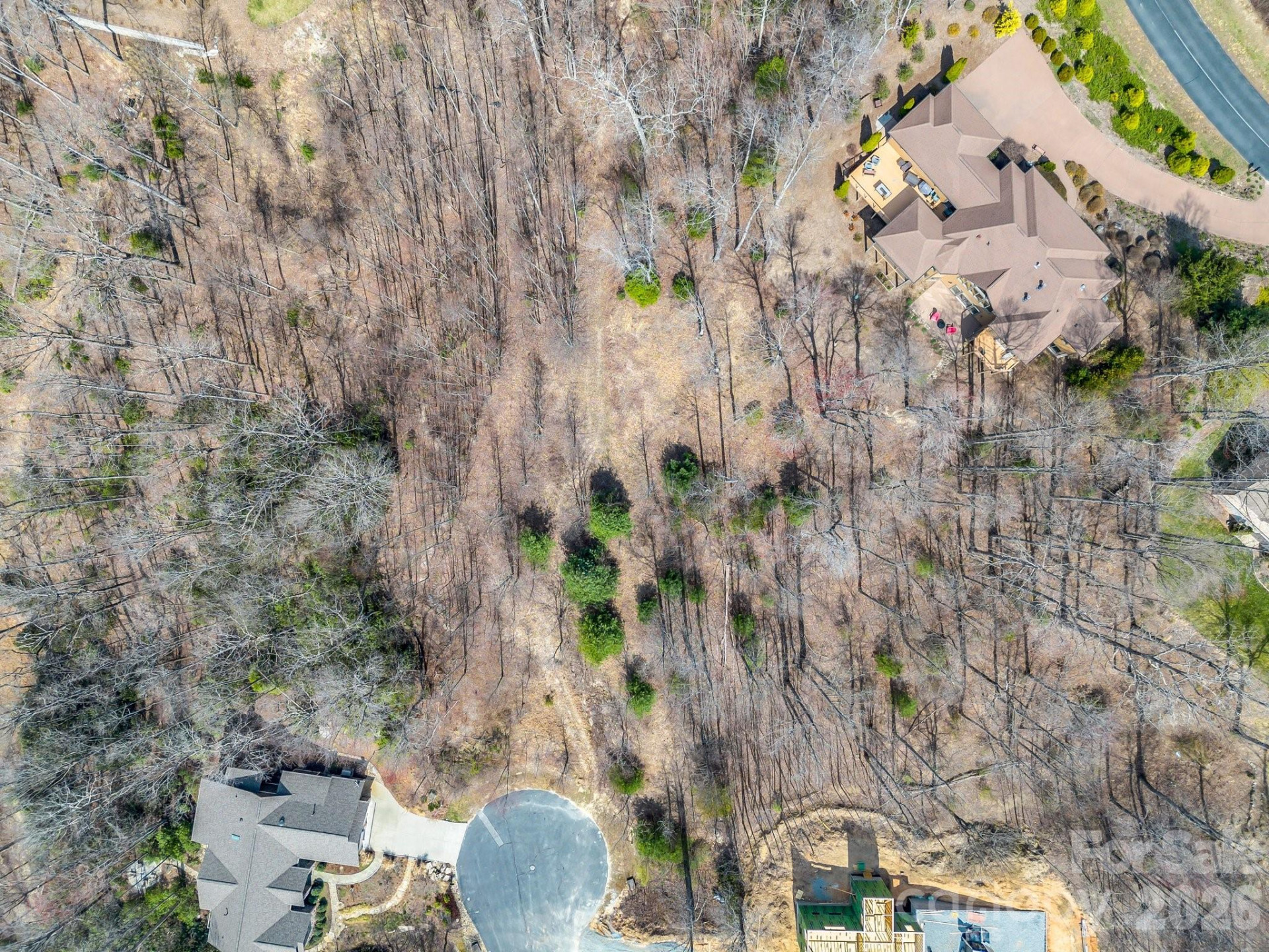 142 Mountain Elder Lane #79 - Photo 6