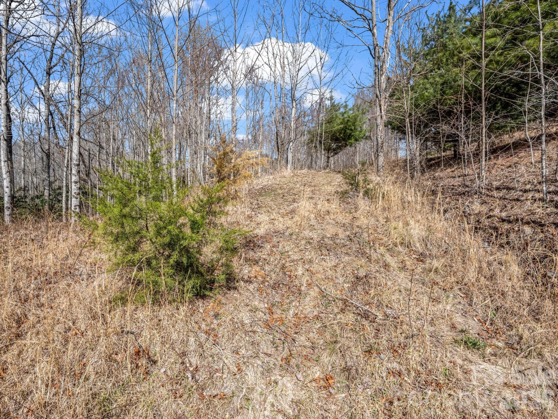 142 Mountain Elder Lane #79 - Photo 7