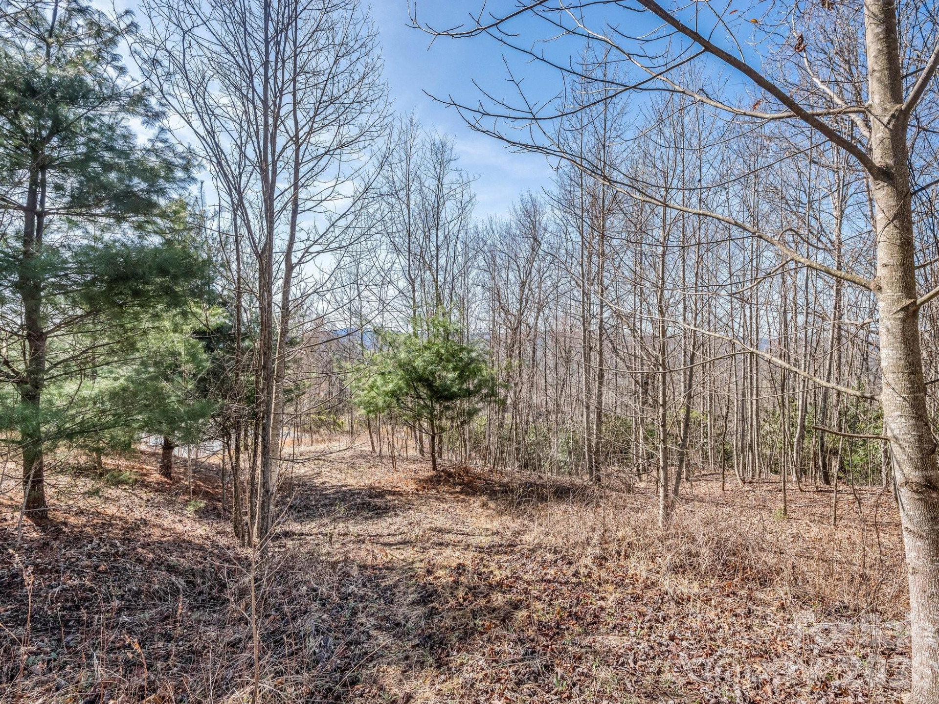 142 Mountain Elder Lane #79 - Photo 8