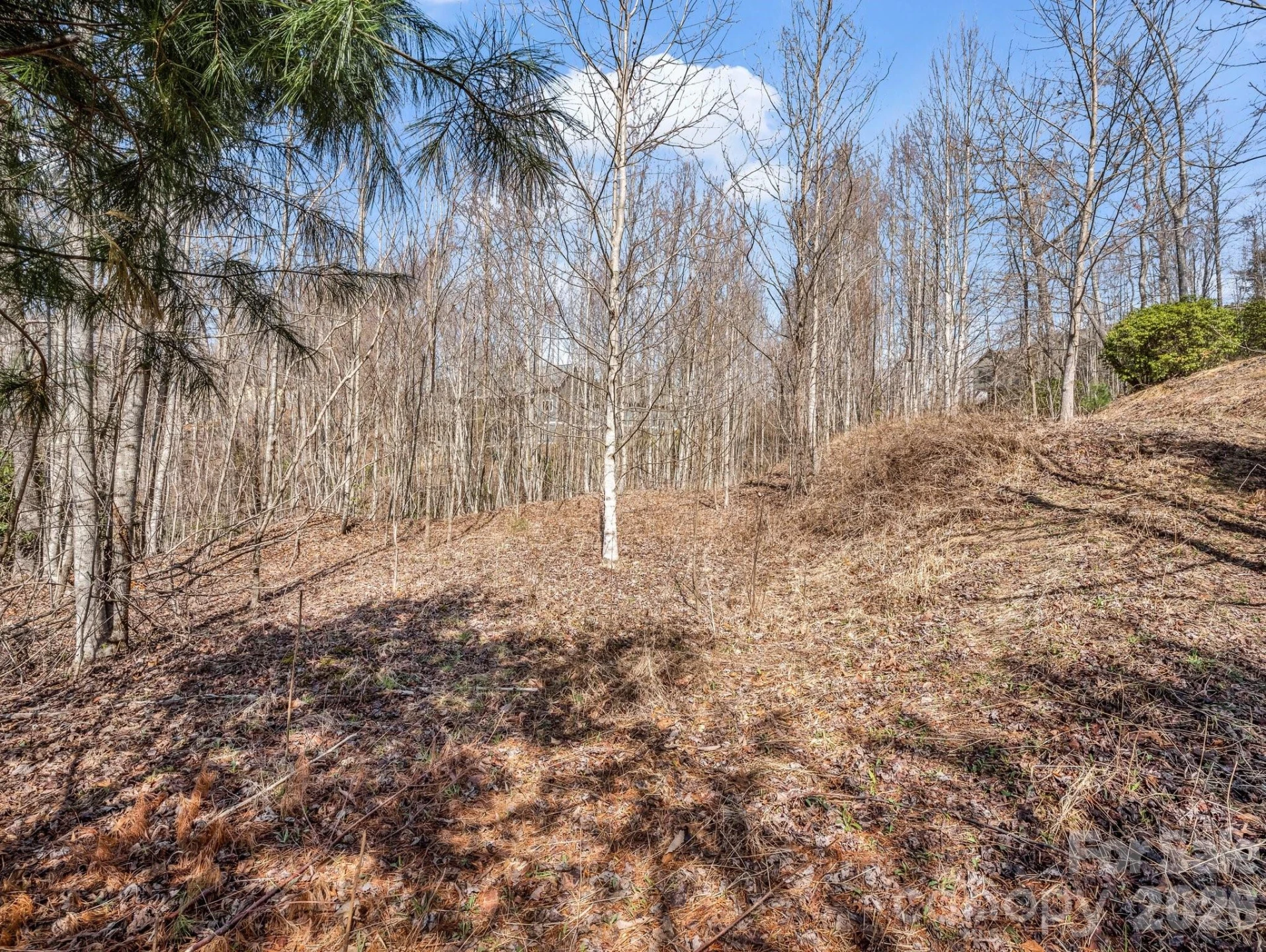 142 Mountain Elder Lane #79 - Photo 9