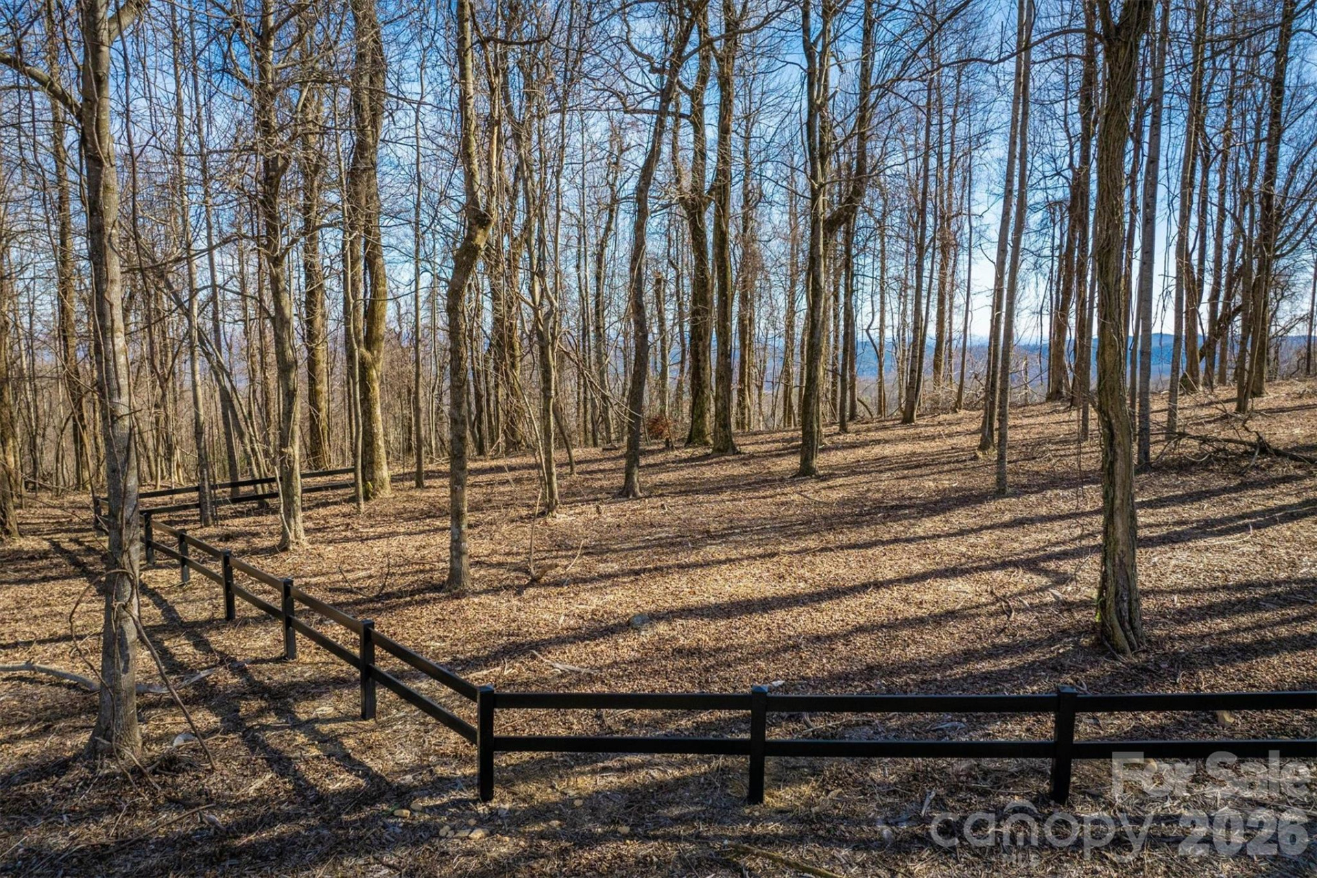 7596 Walkertop Mtn Overlook Drive - Photo 3