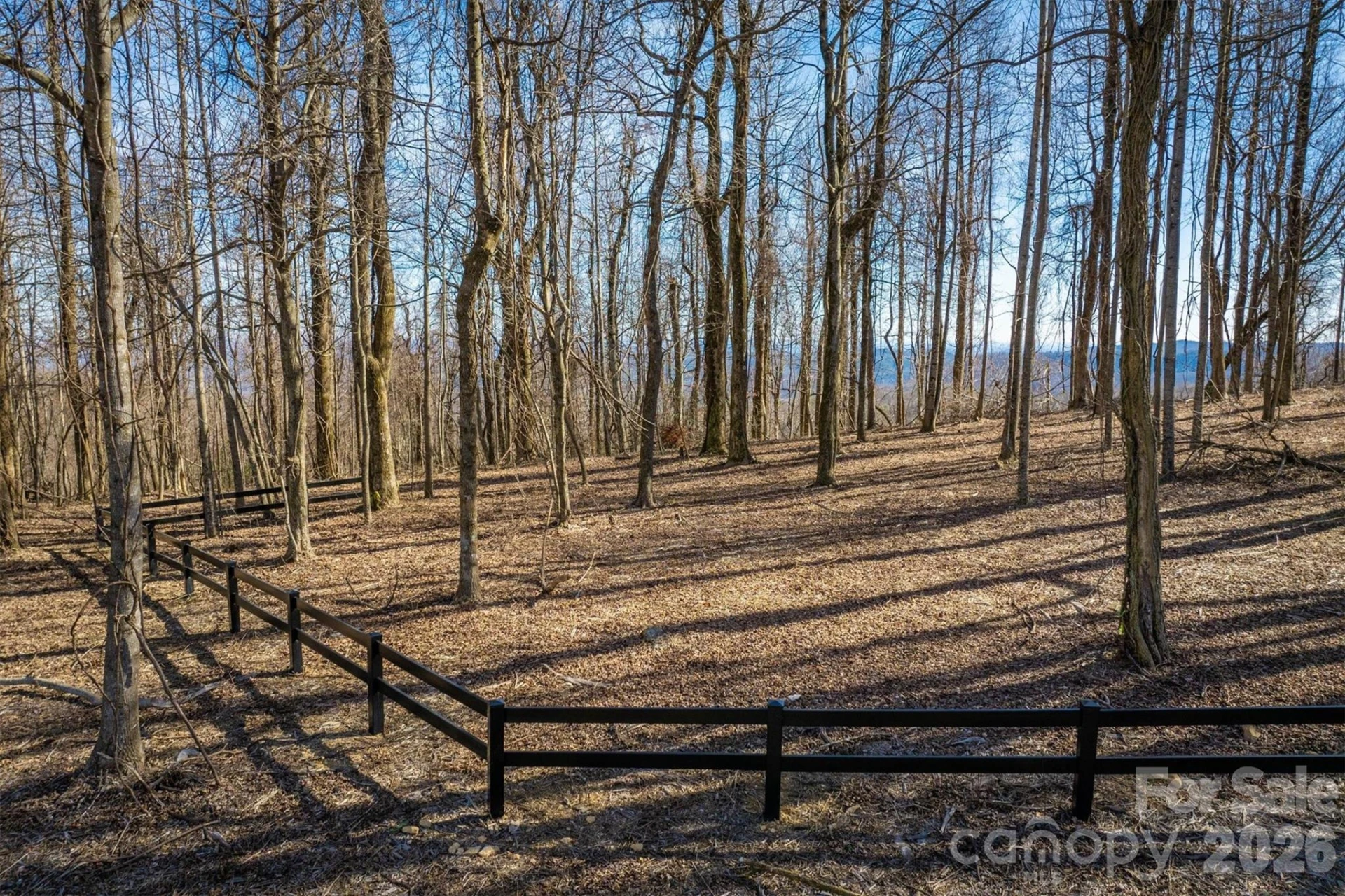7596 Walkertop Mtn Overlook Drive - Photo 3