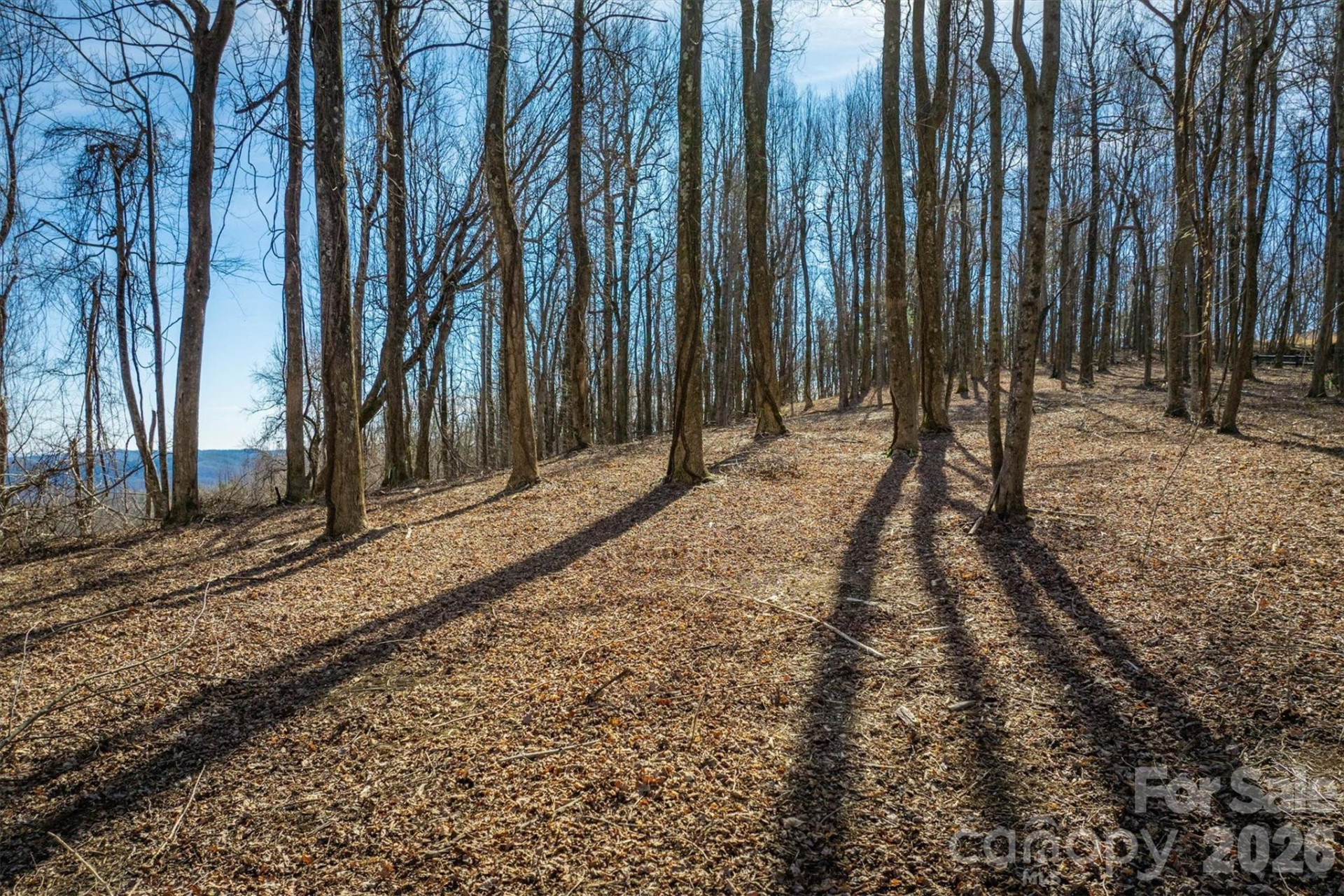 7596 Walkertop Mtn Overlook Drive - Photo 7