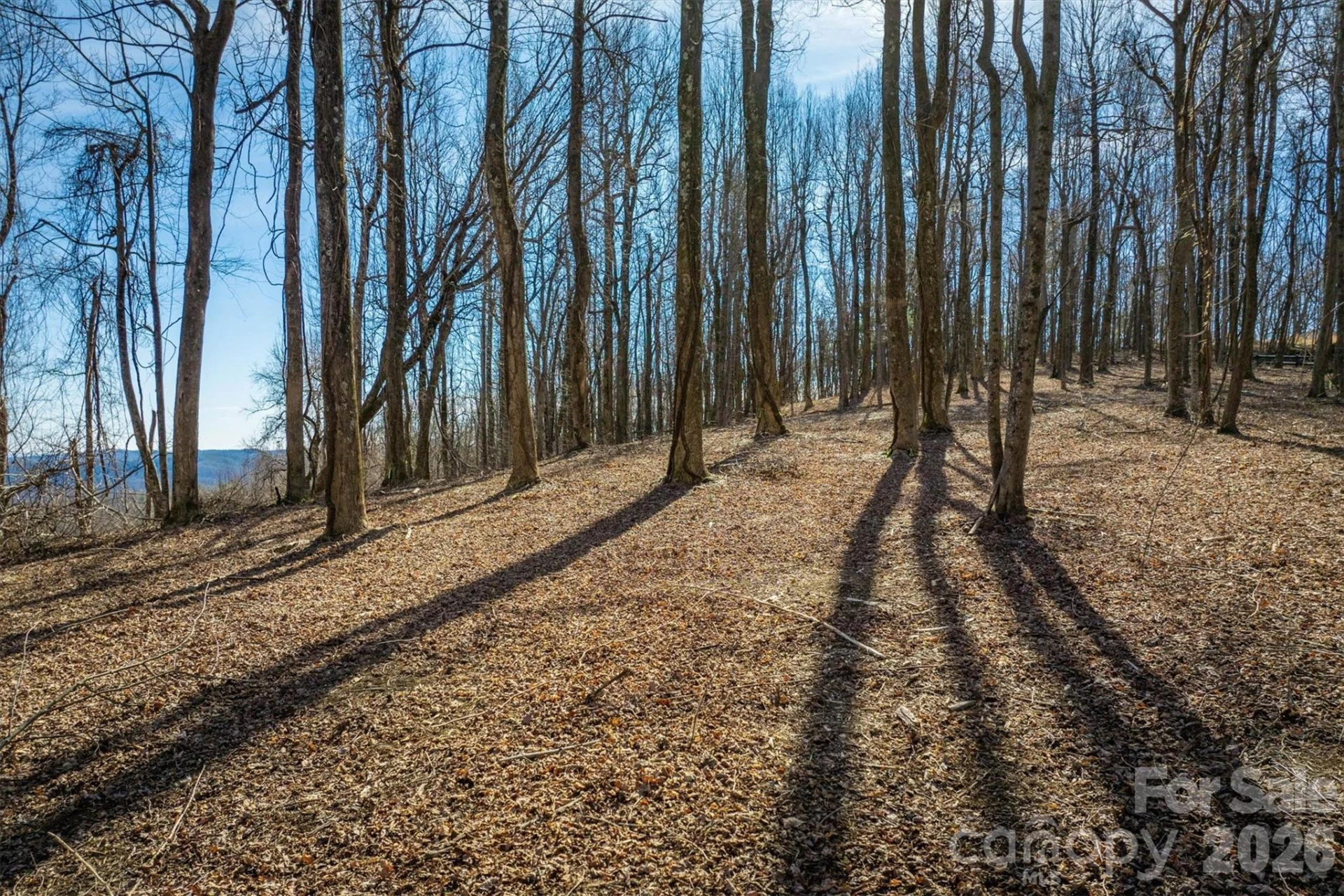 7596 Walkertop Mtn Overlook Drive - Photo 7