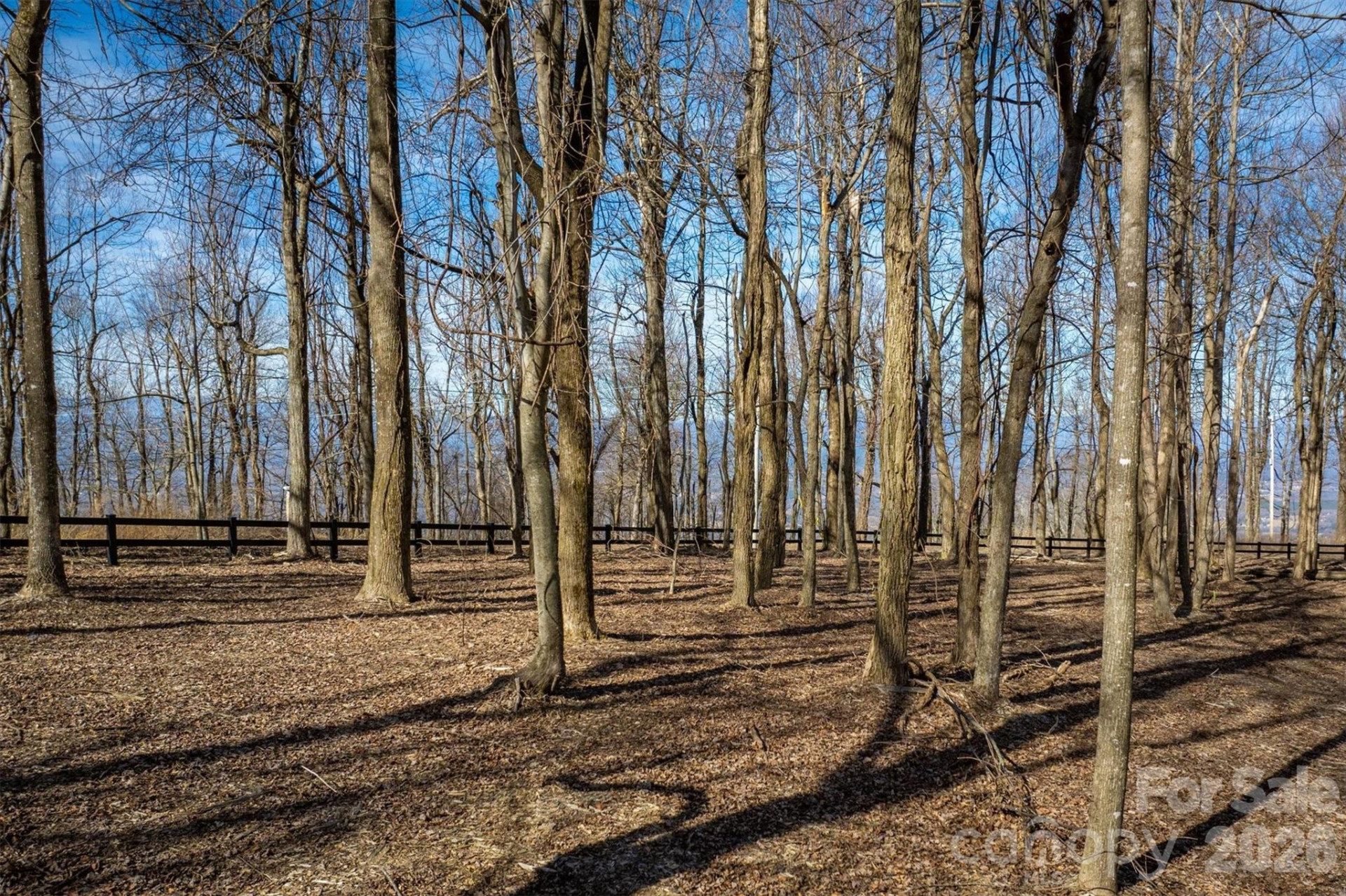 7596 Walkertop Mtn Overlook Drive - Photo 9