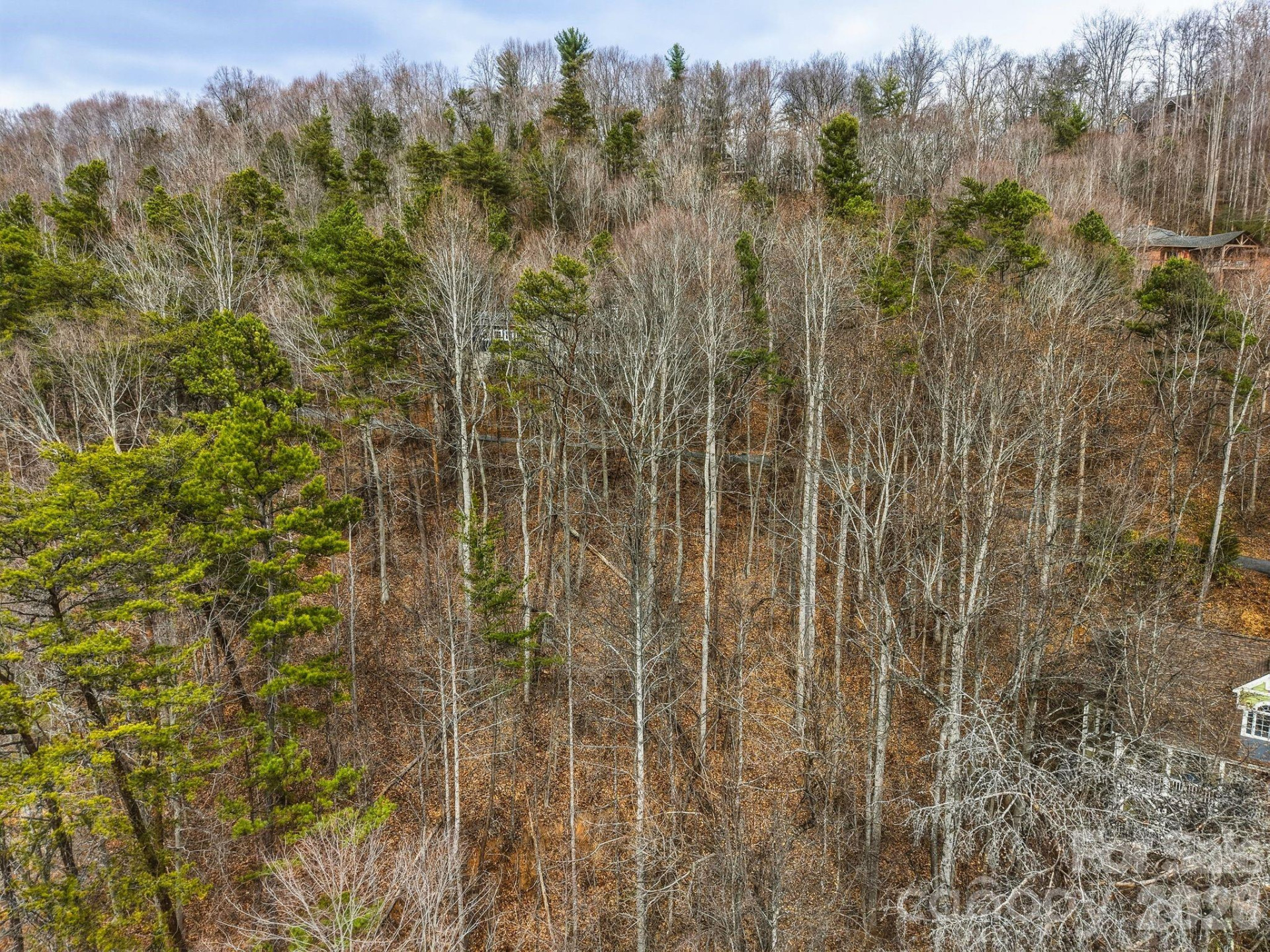 99999 Hawk View Drive #7 - Photo 11