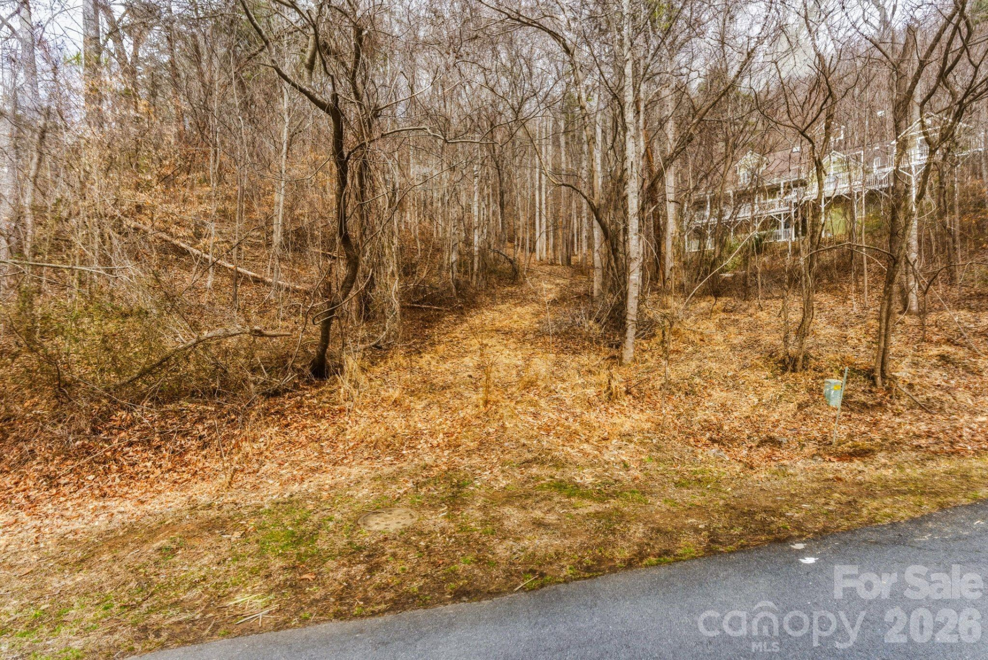 99999 Hawk View Drive #7 - Photo 3