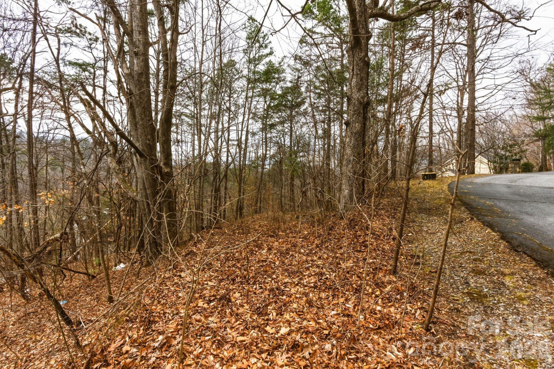 99999 Hawk View Drive #7 - Photo 8