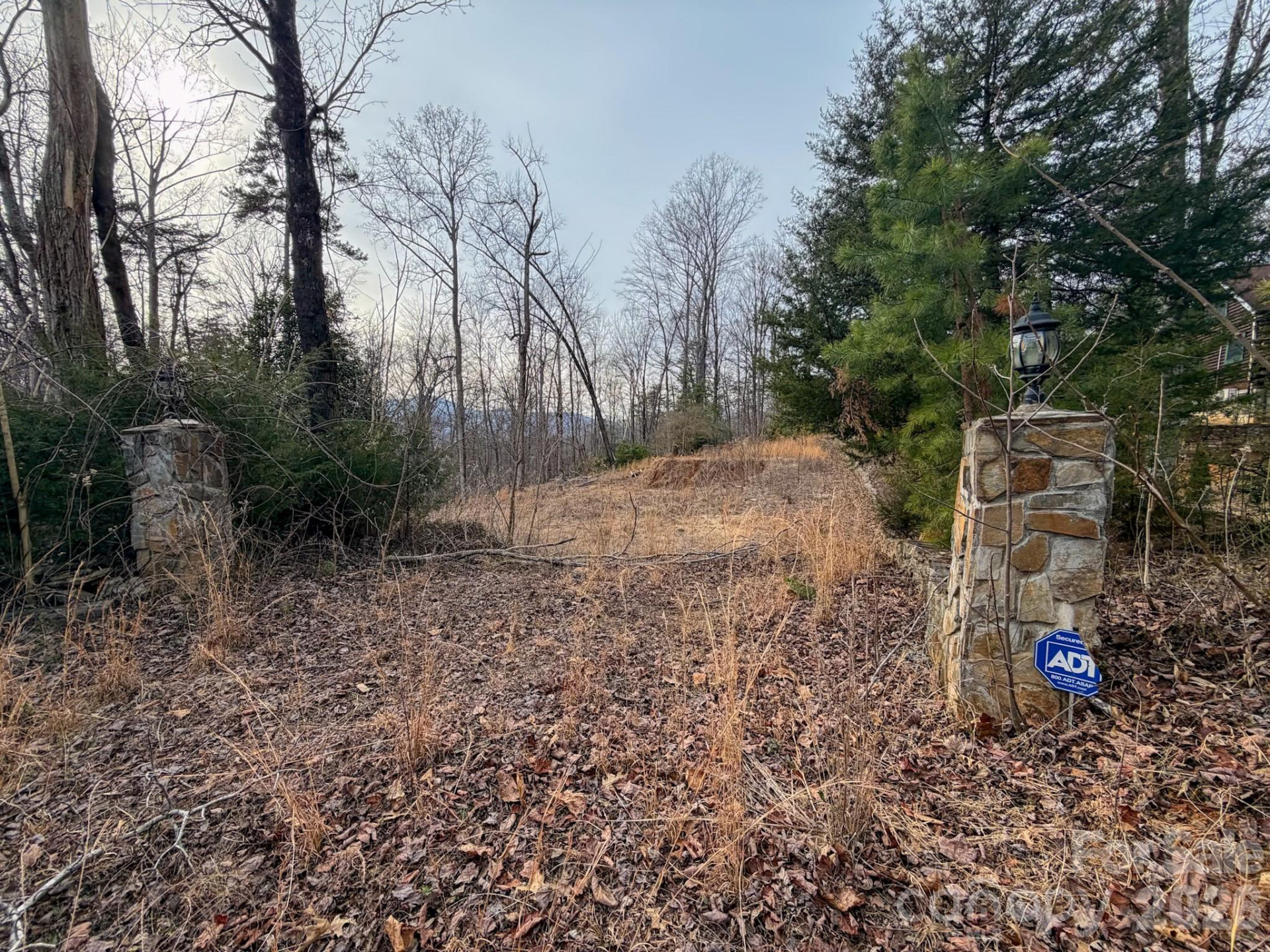 161 Starling Road - Photo 2