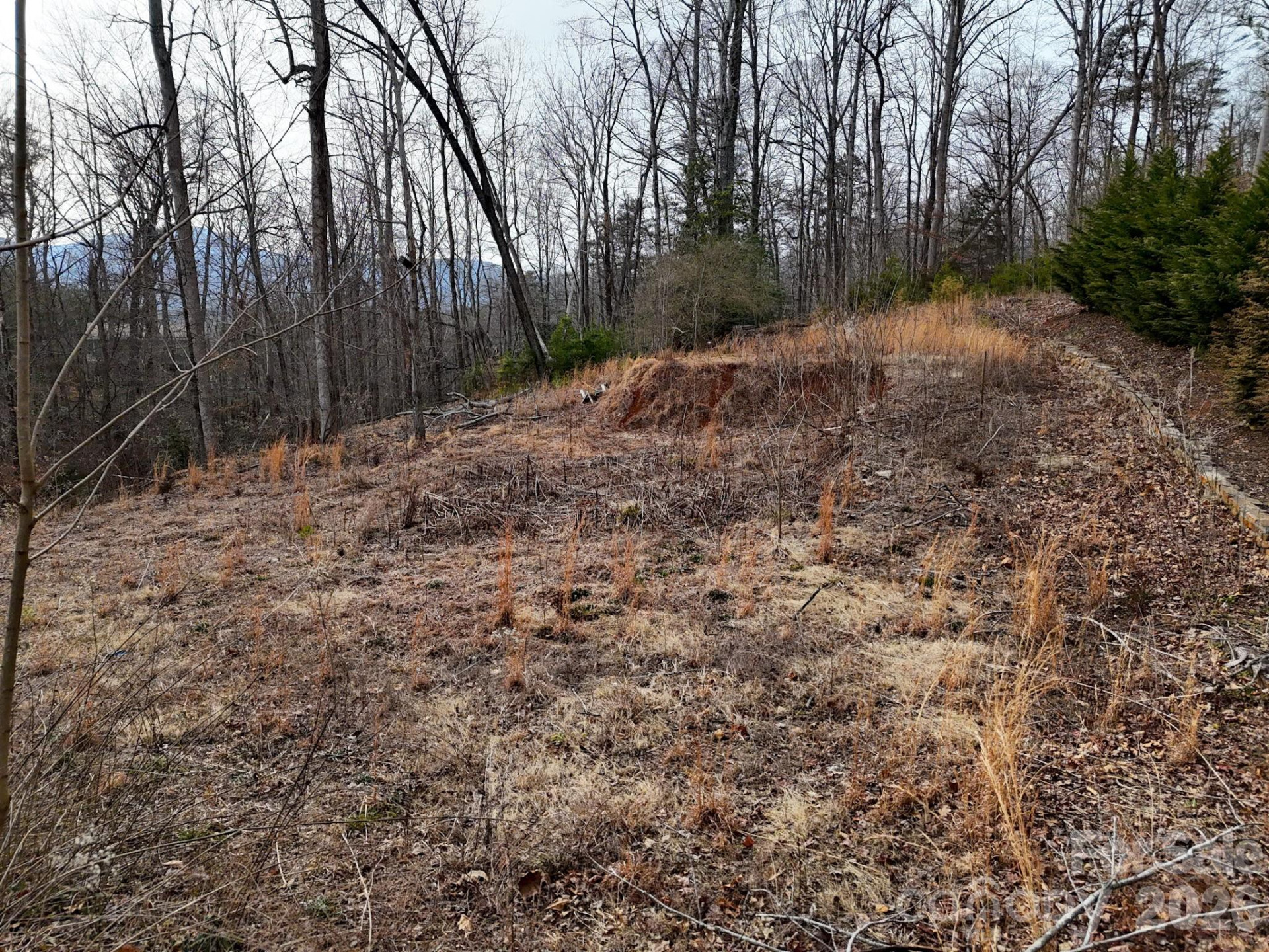 161 Starling Road - Photo 15