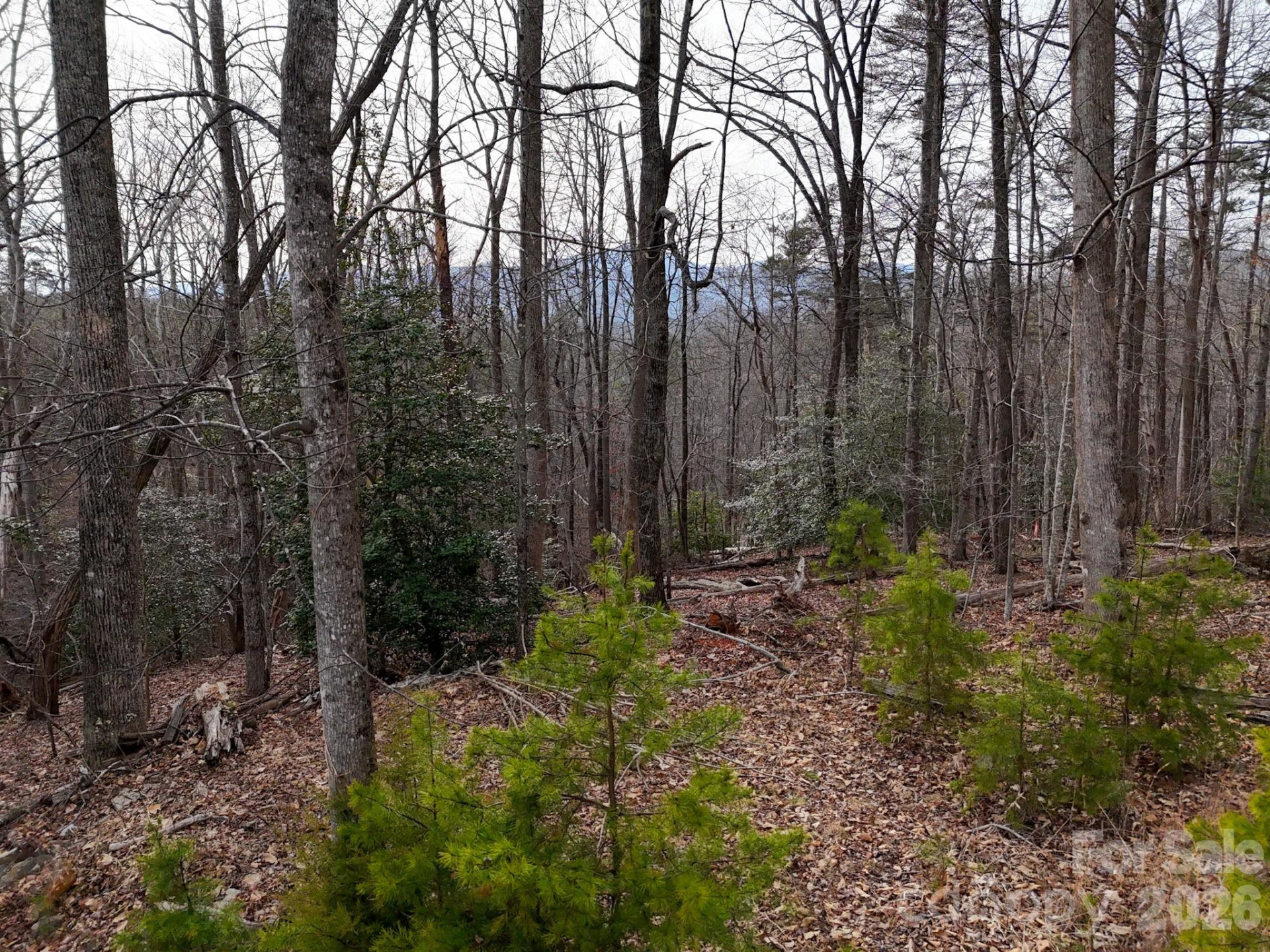 161 Starling Road - Photo 16