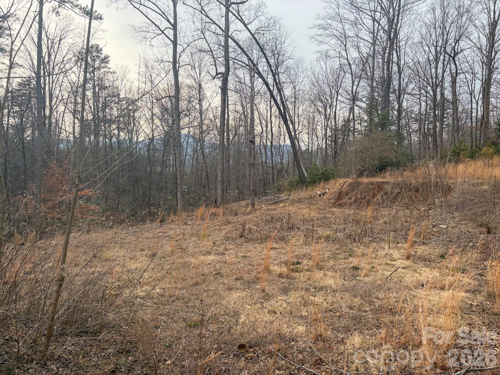 161 Starling Road - Photo 20