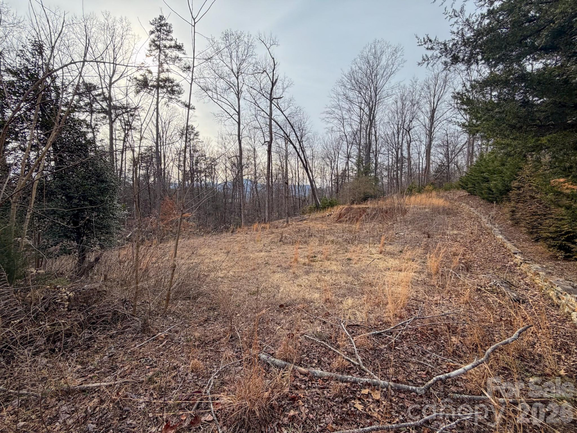 161 Starling Road - Photo 21